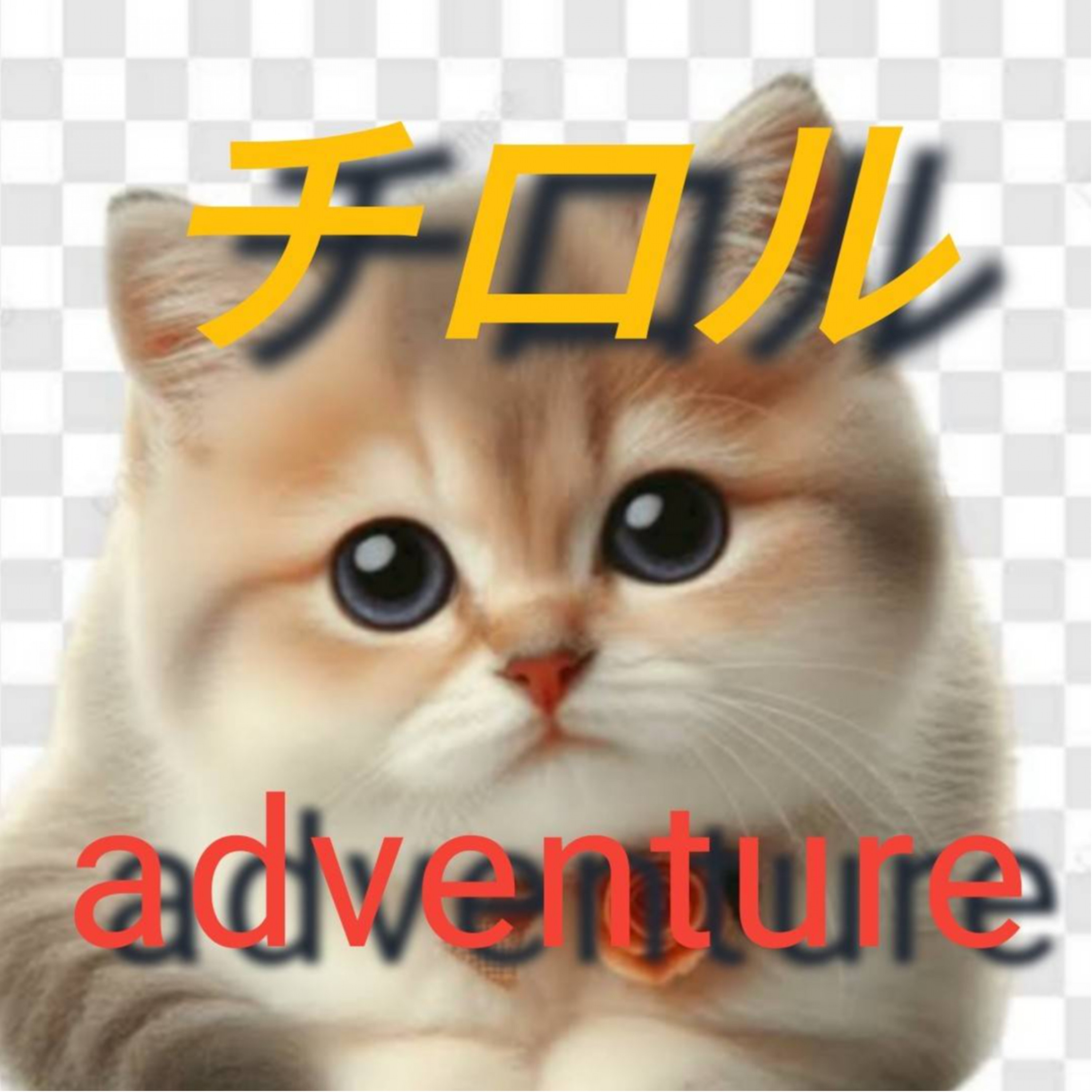 ジャケット写真