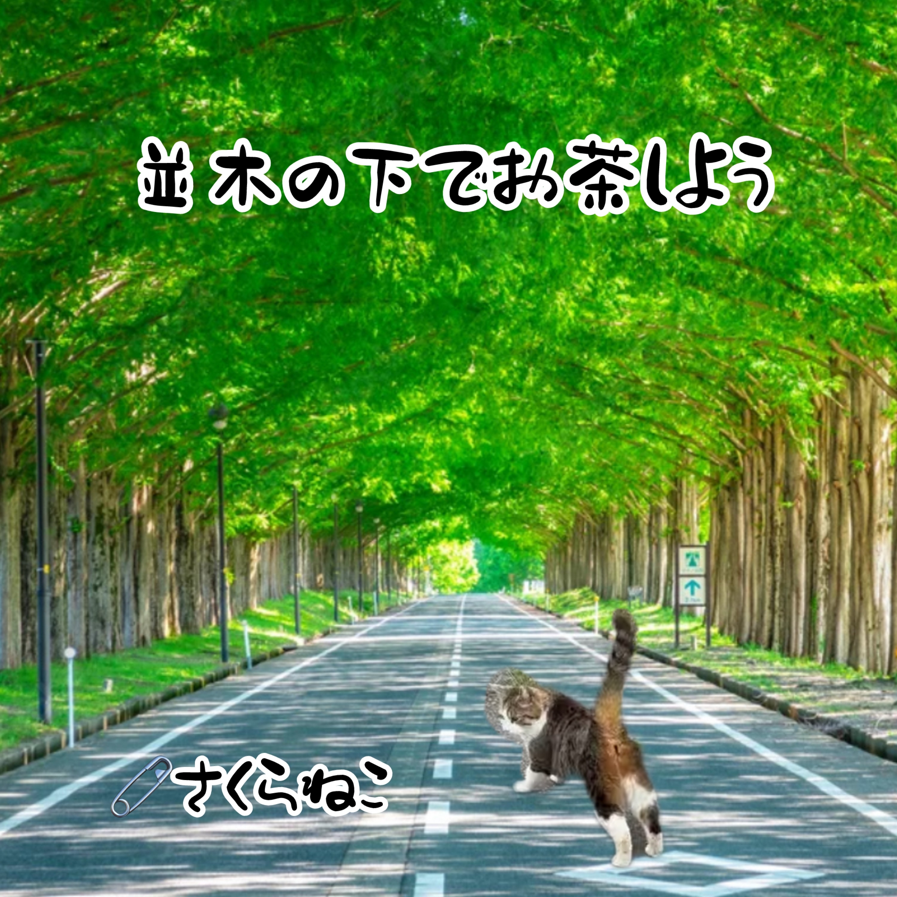 ジャケット写真