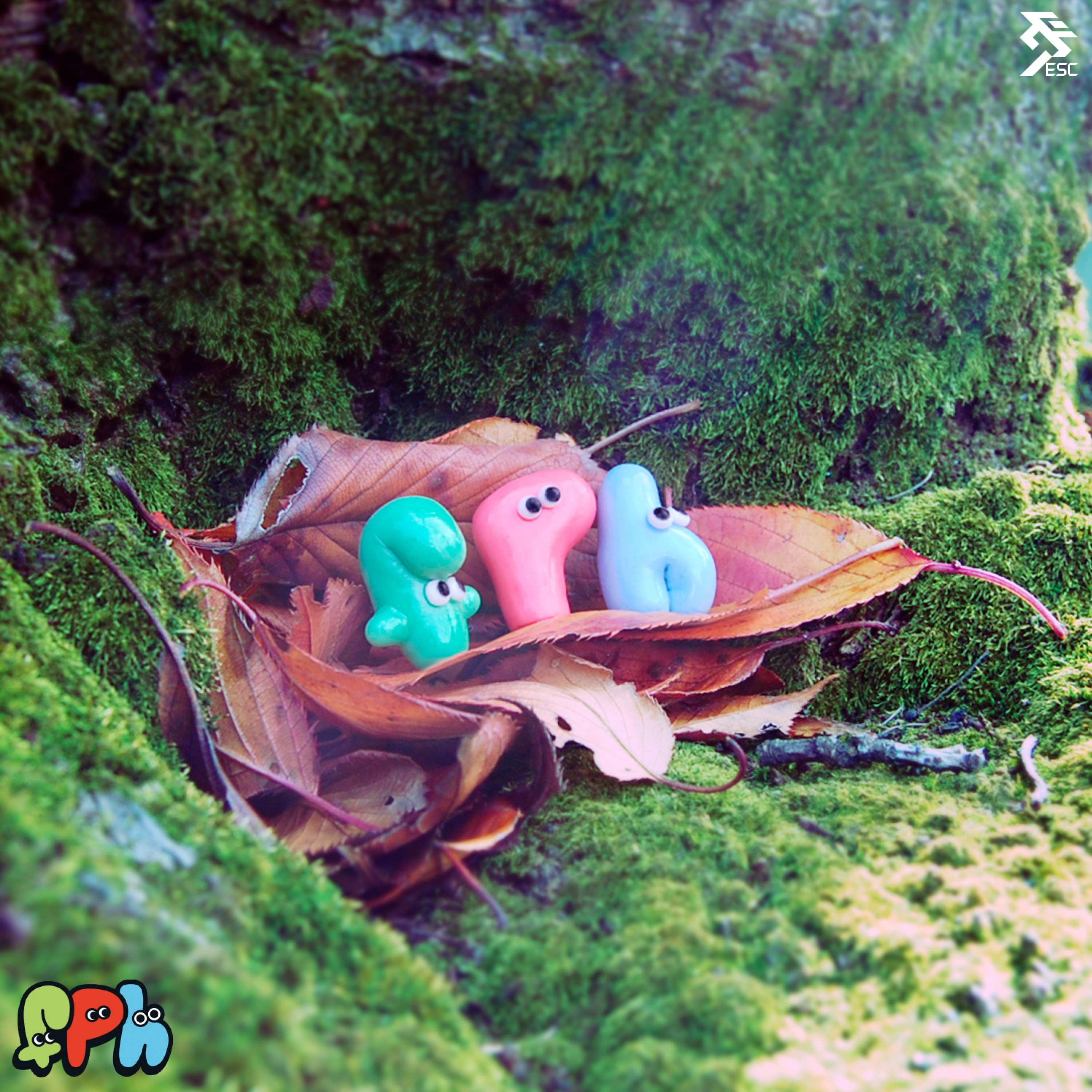 ジャケット写真