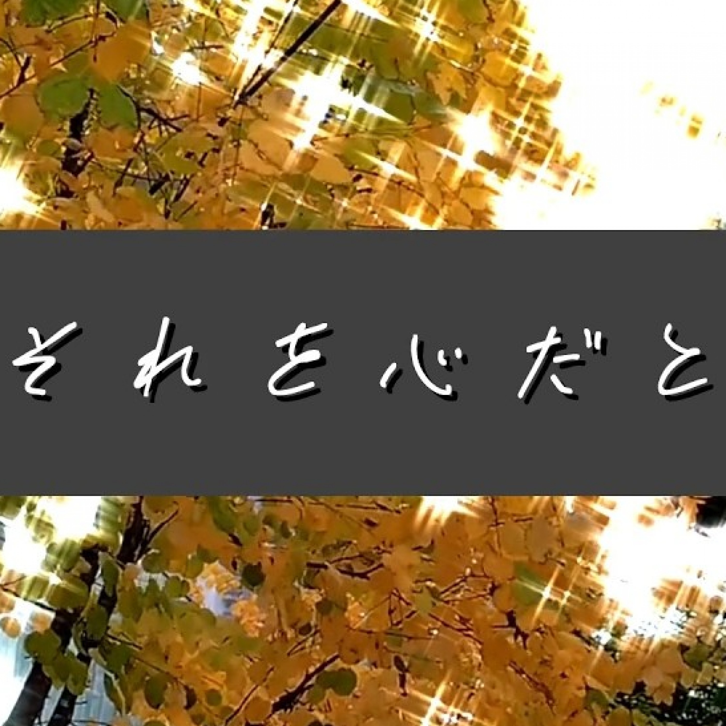 ジャケット写真