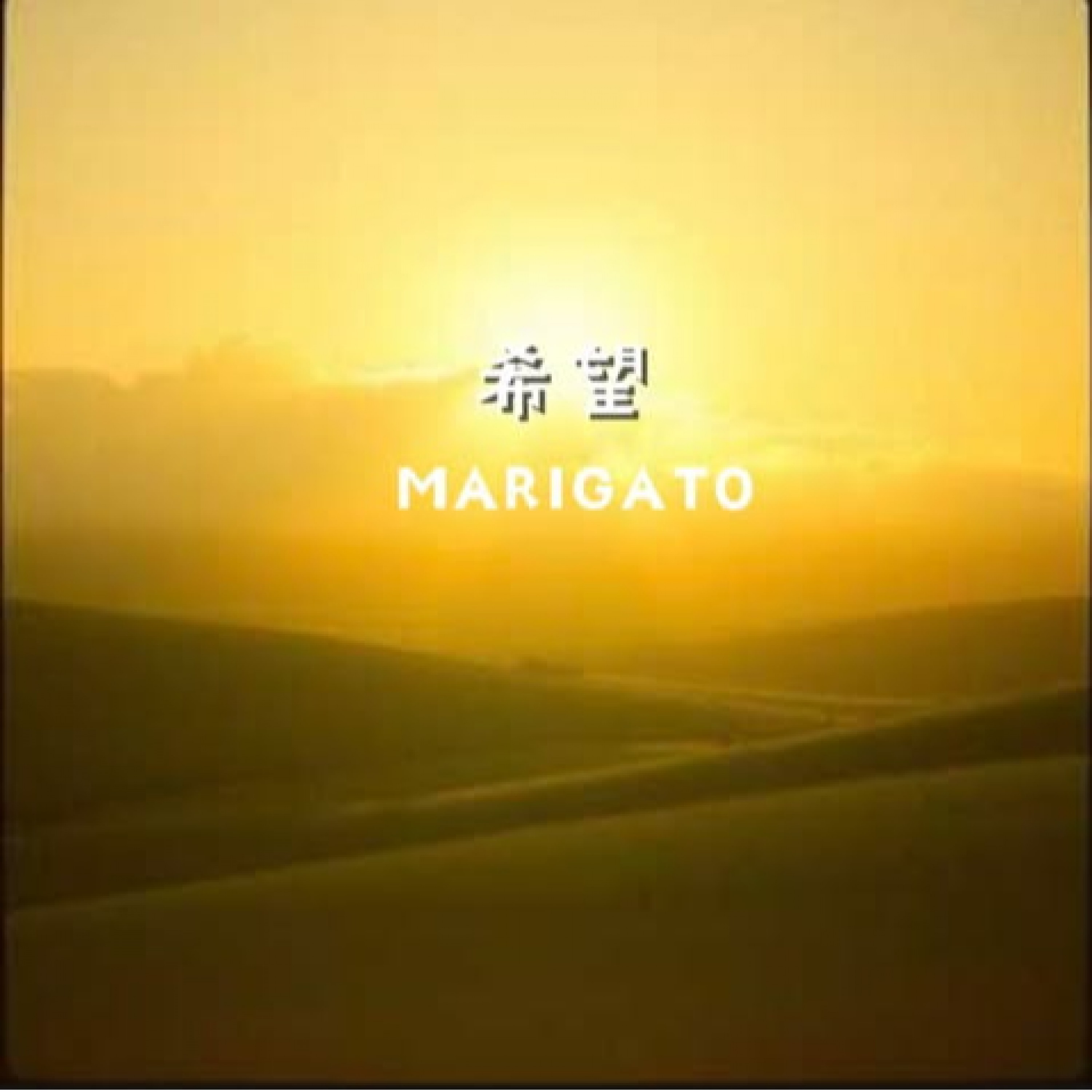 ジャケット写真