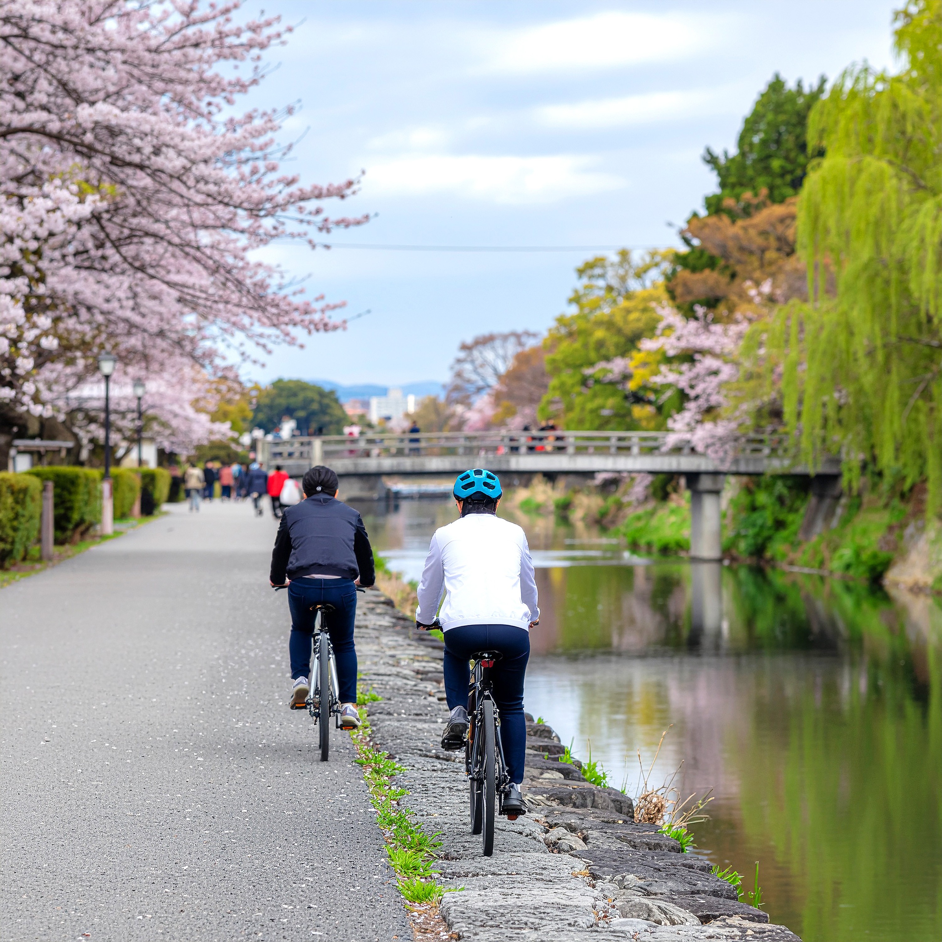 ジャケット写真