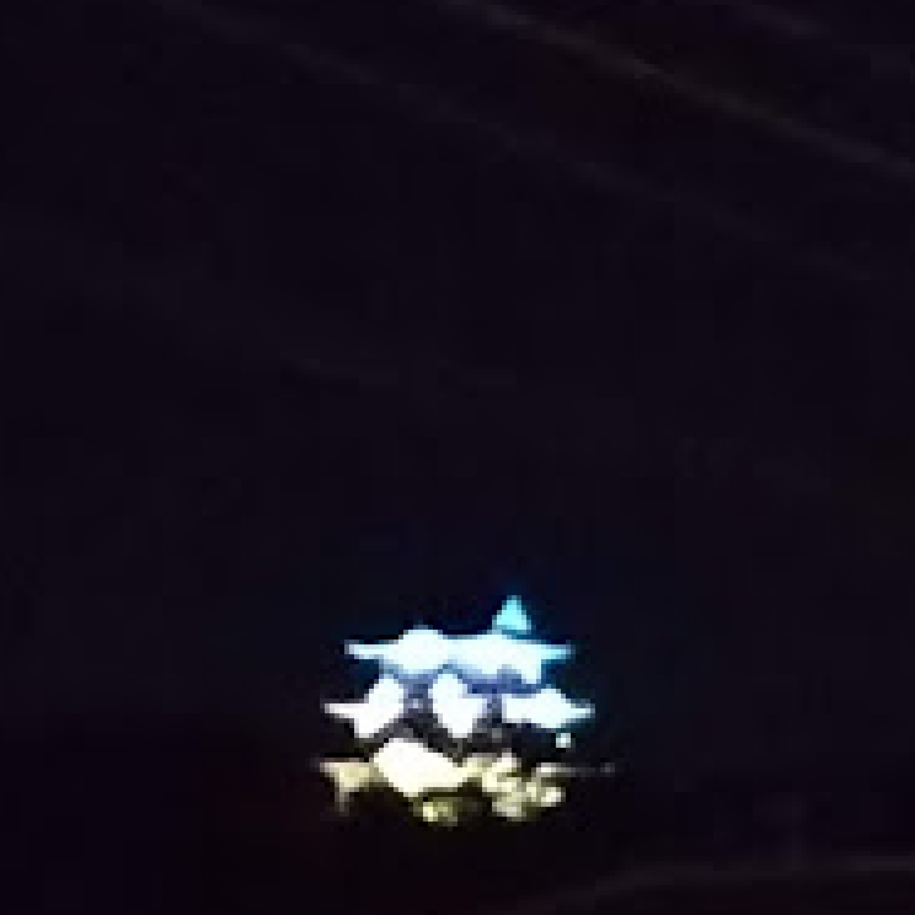 ジャケット写真