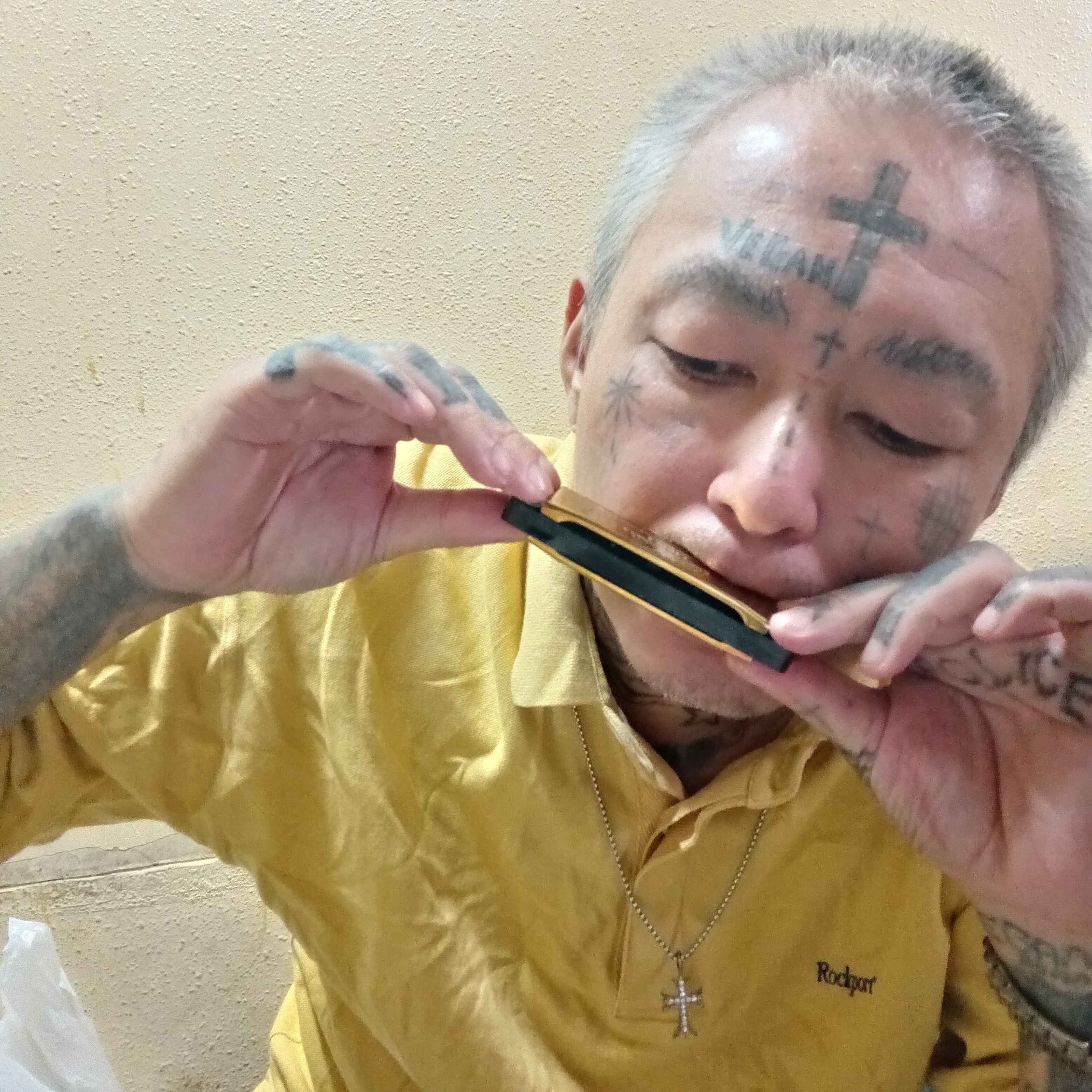 ジャケット写真