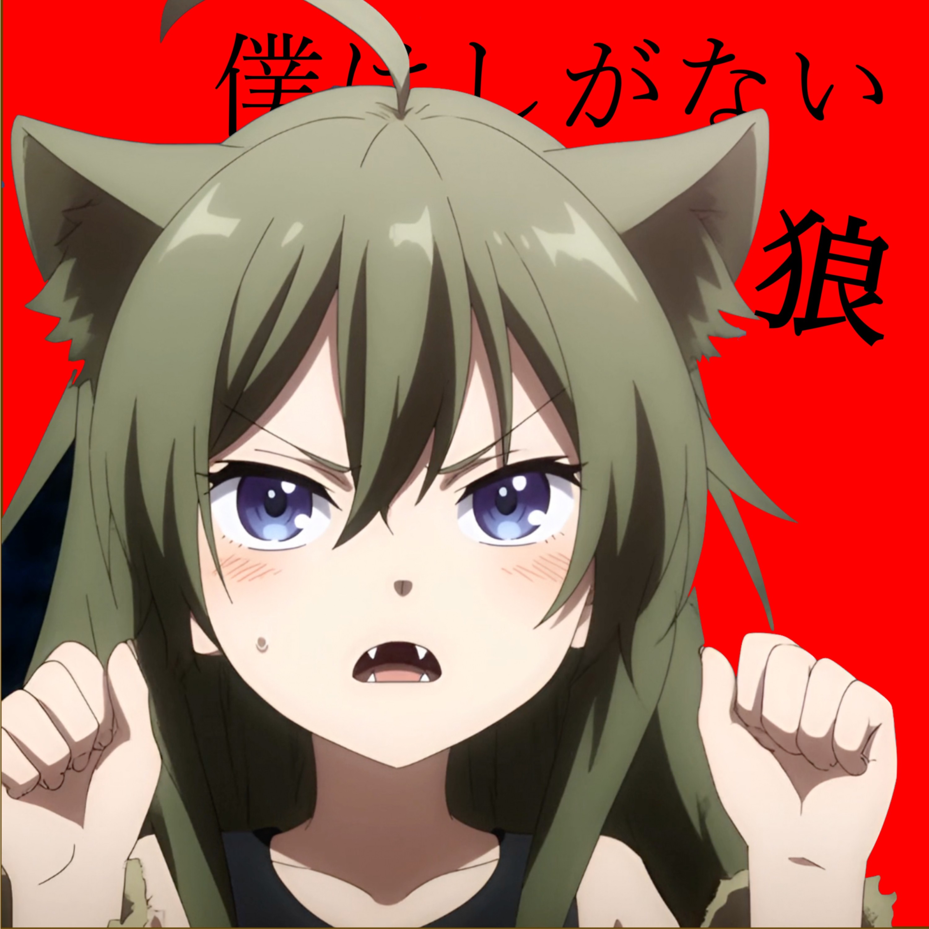 ジャケット写真