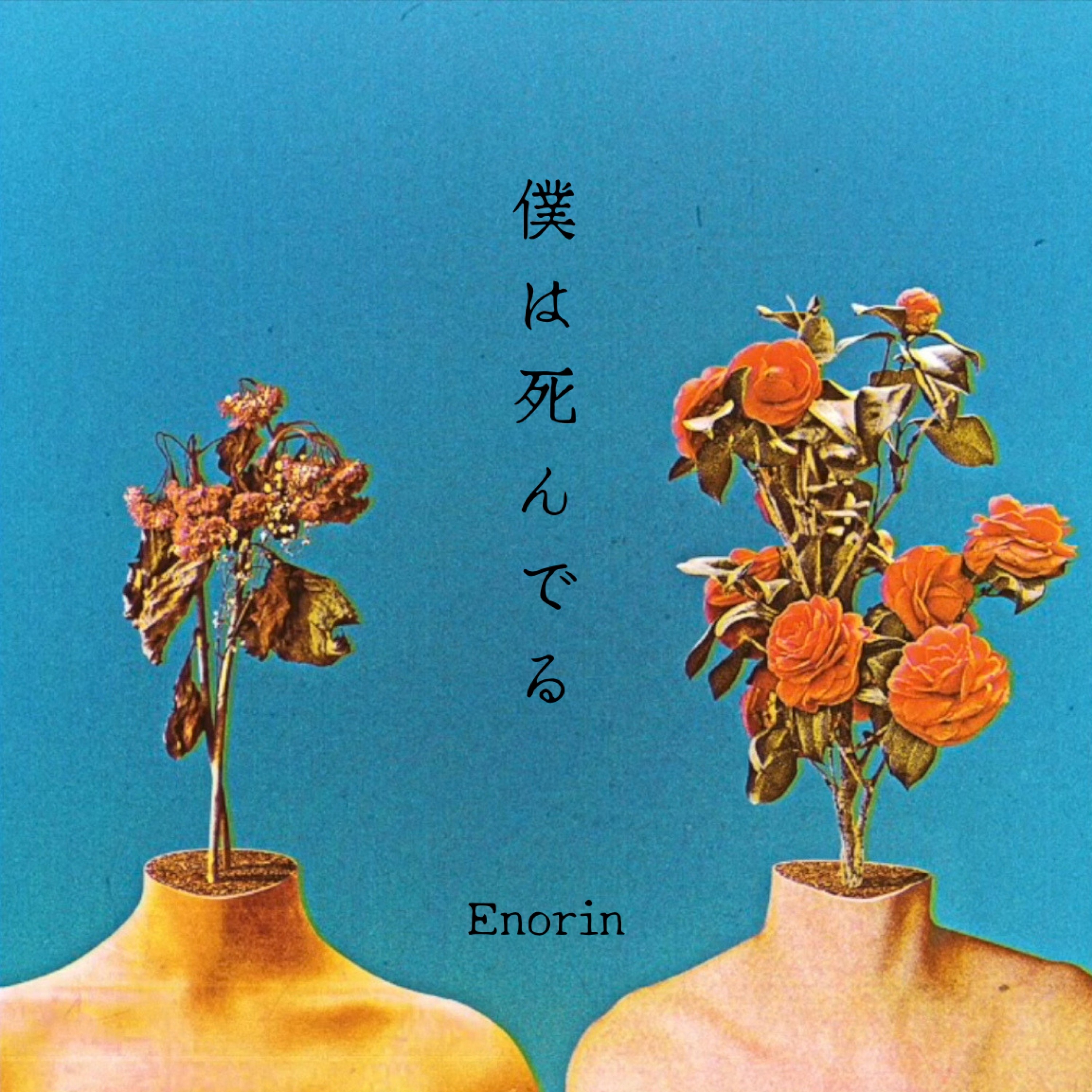 ジャケット写真