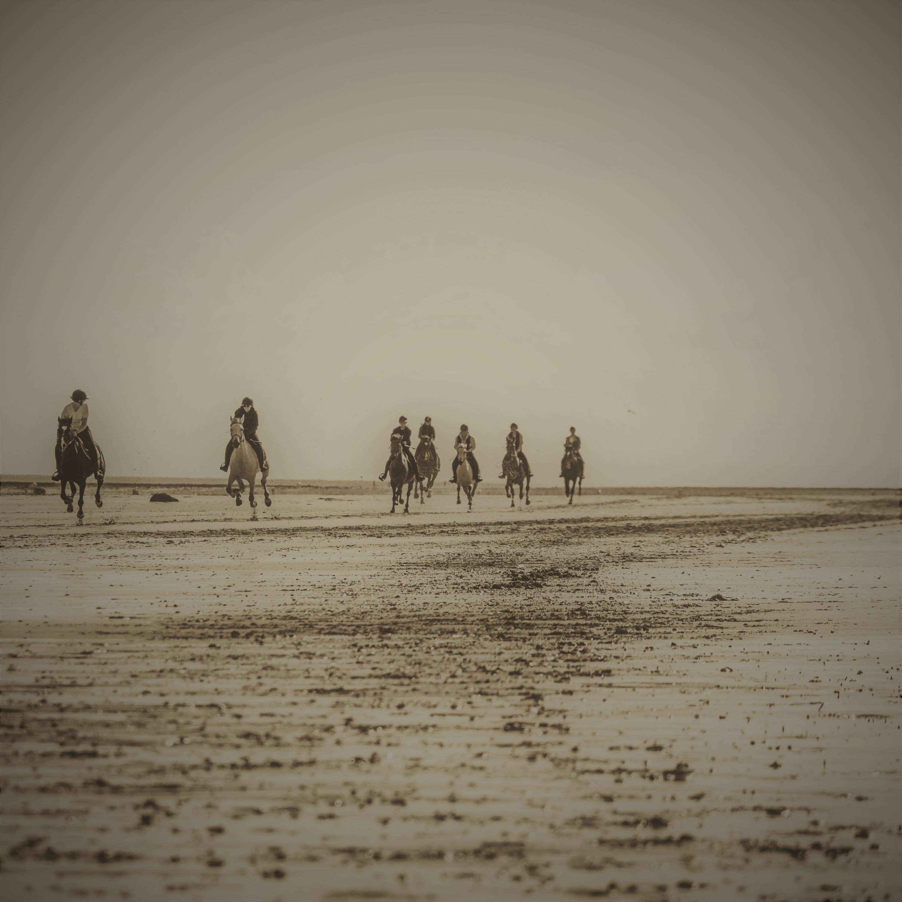 ジャケット写真