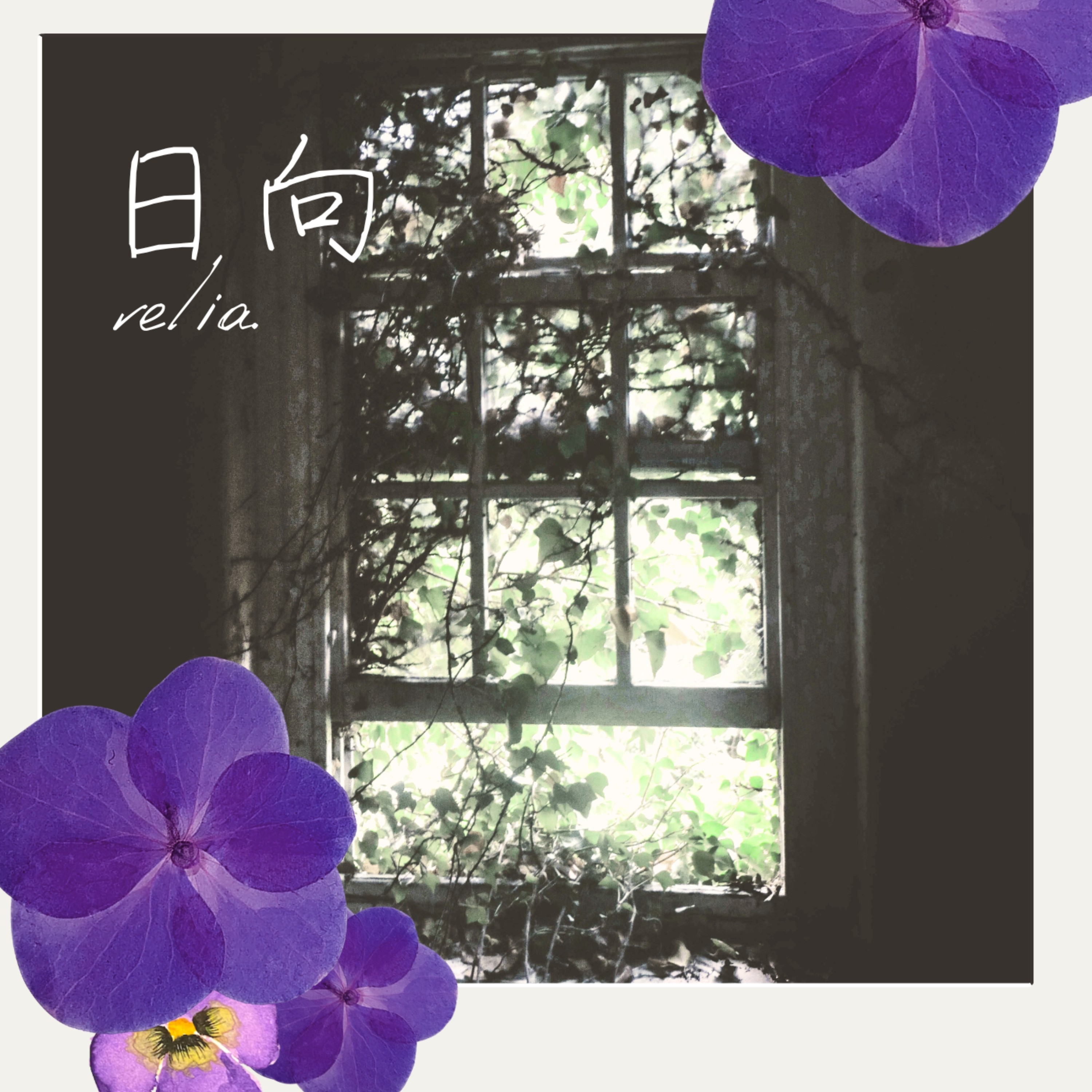 ジャケット写真