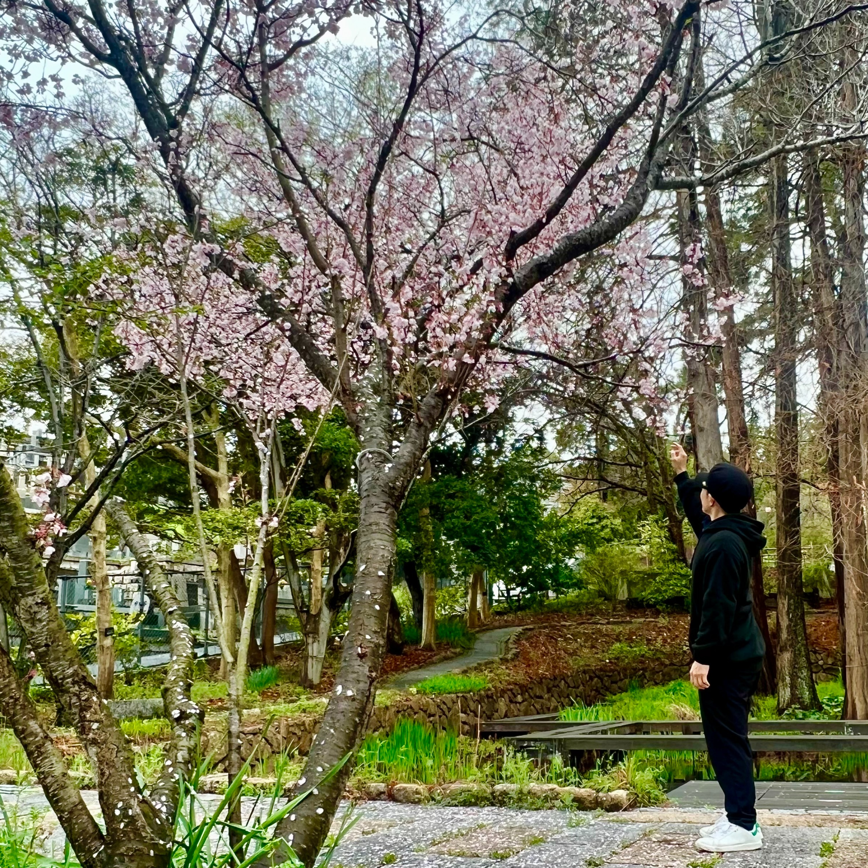 ジャケット写真