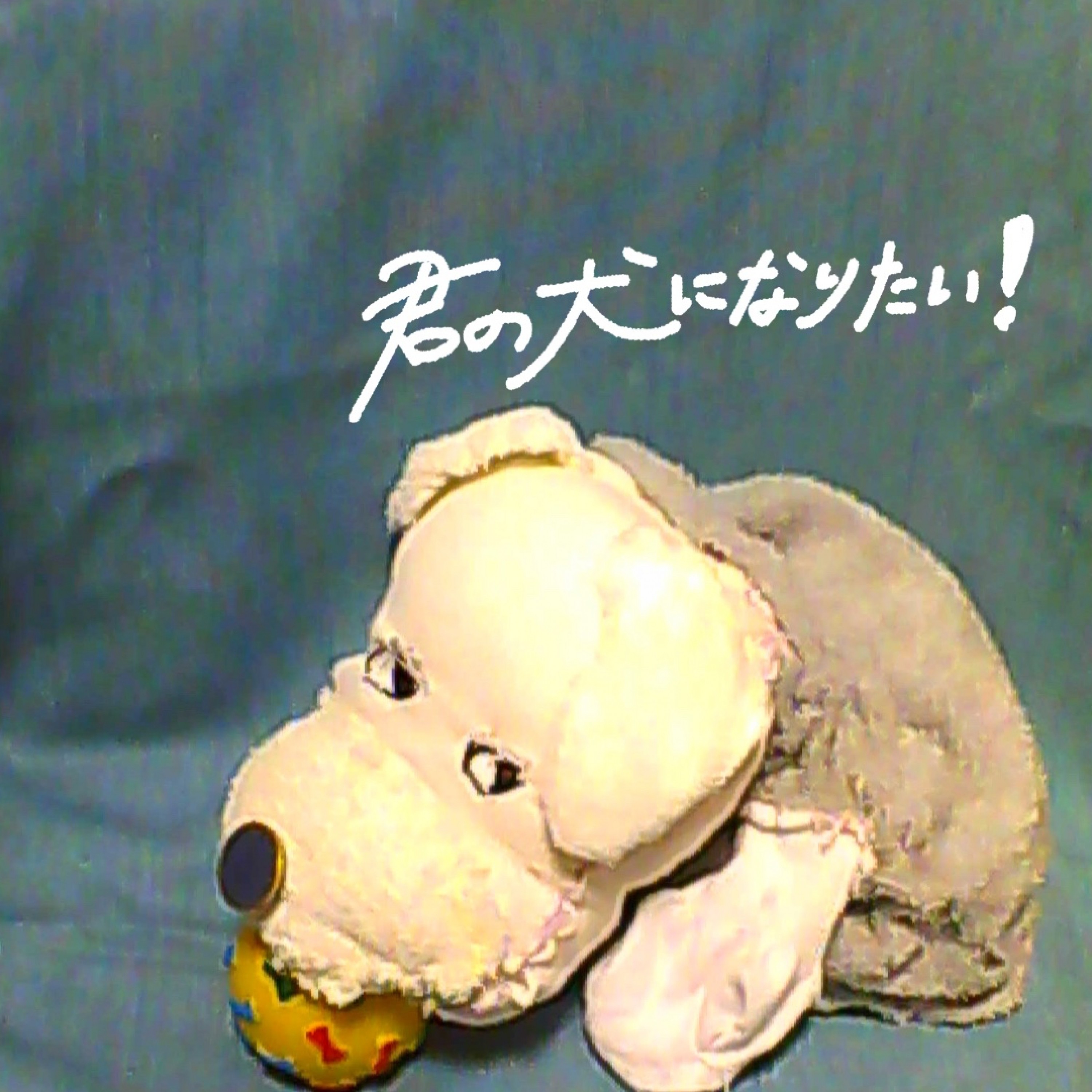 ジャケット写真