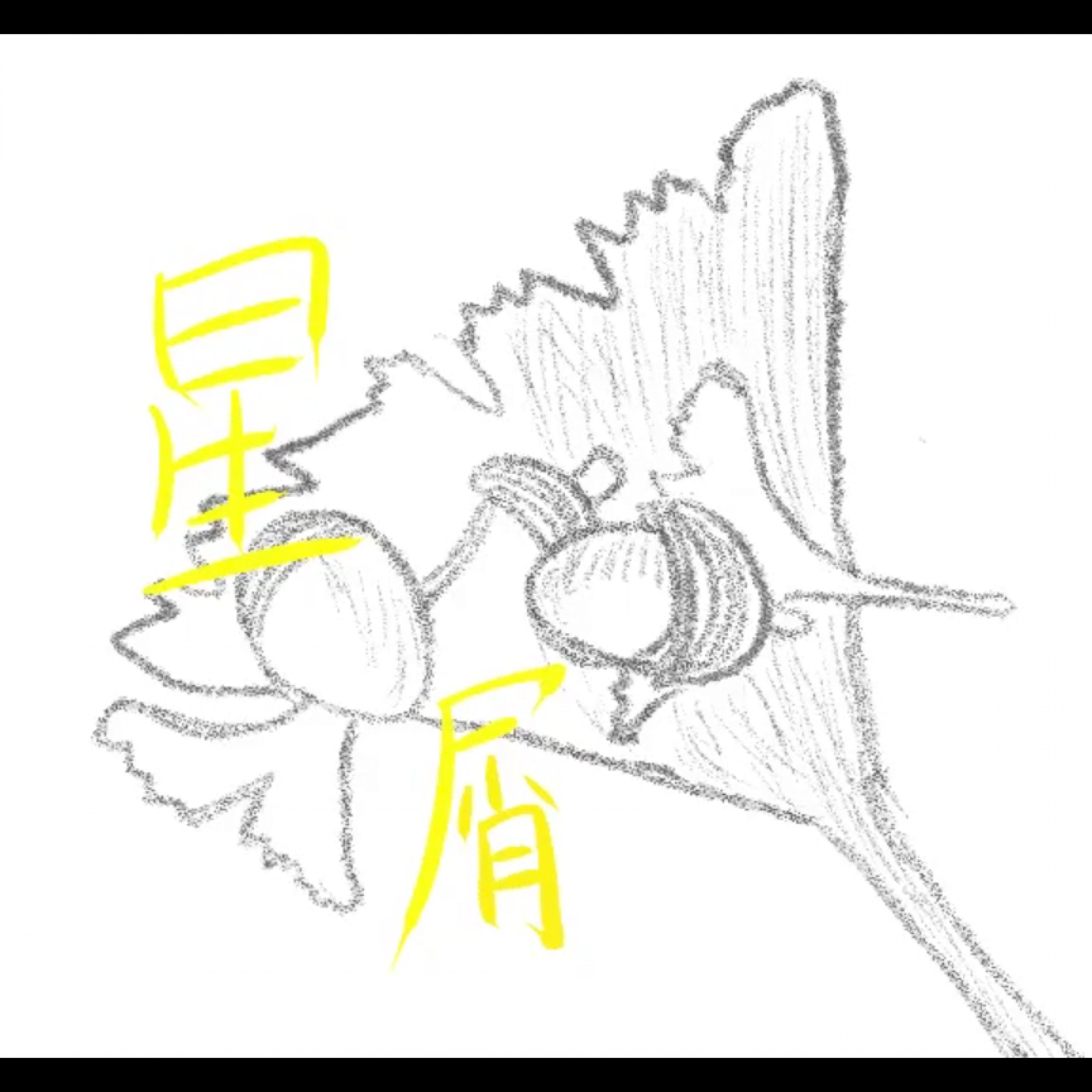 ジャケット写真