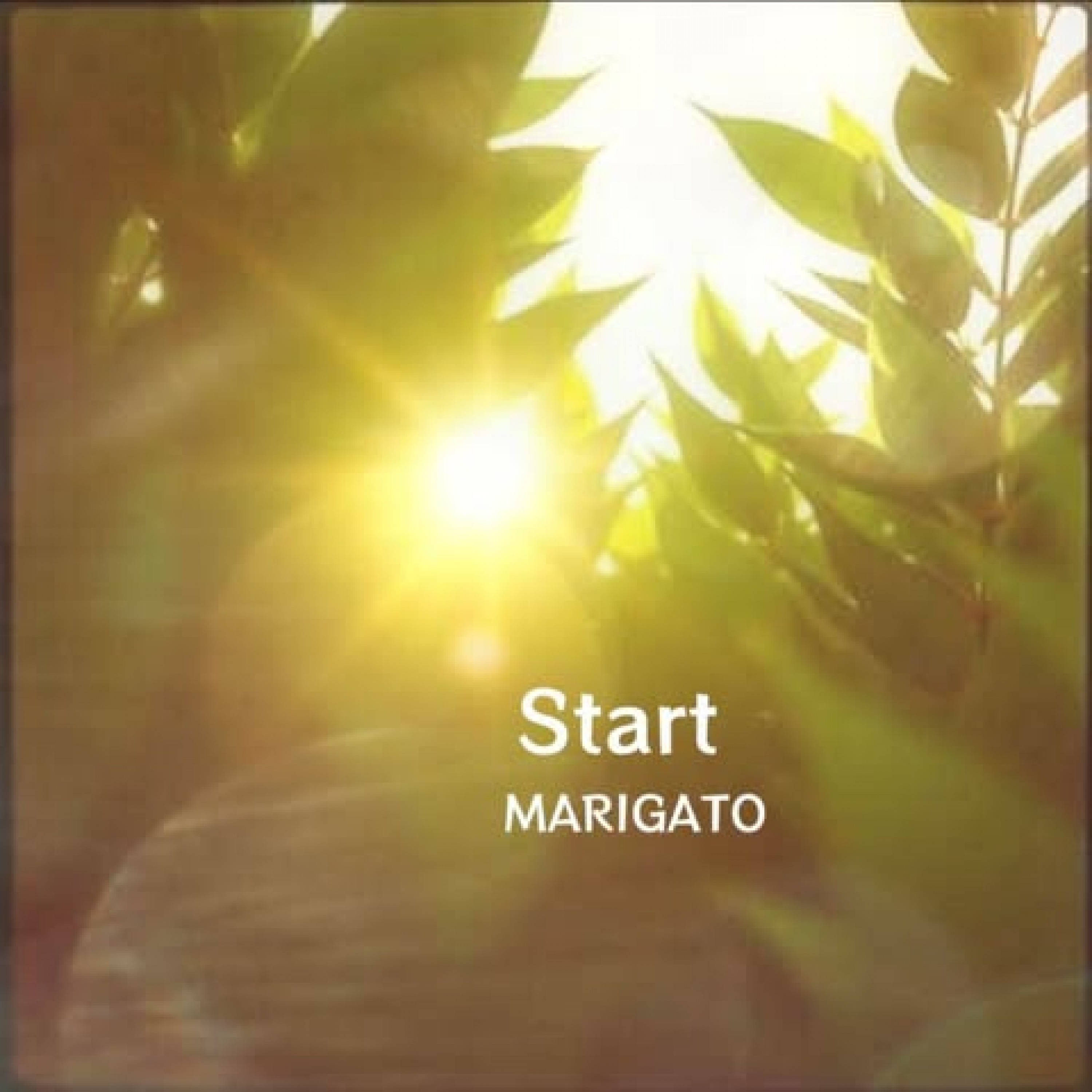 ジャケット写真