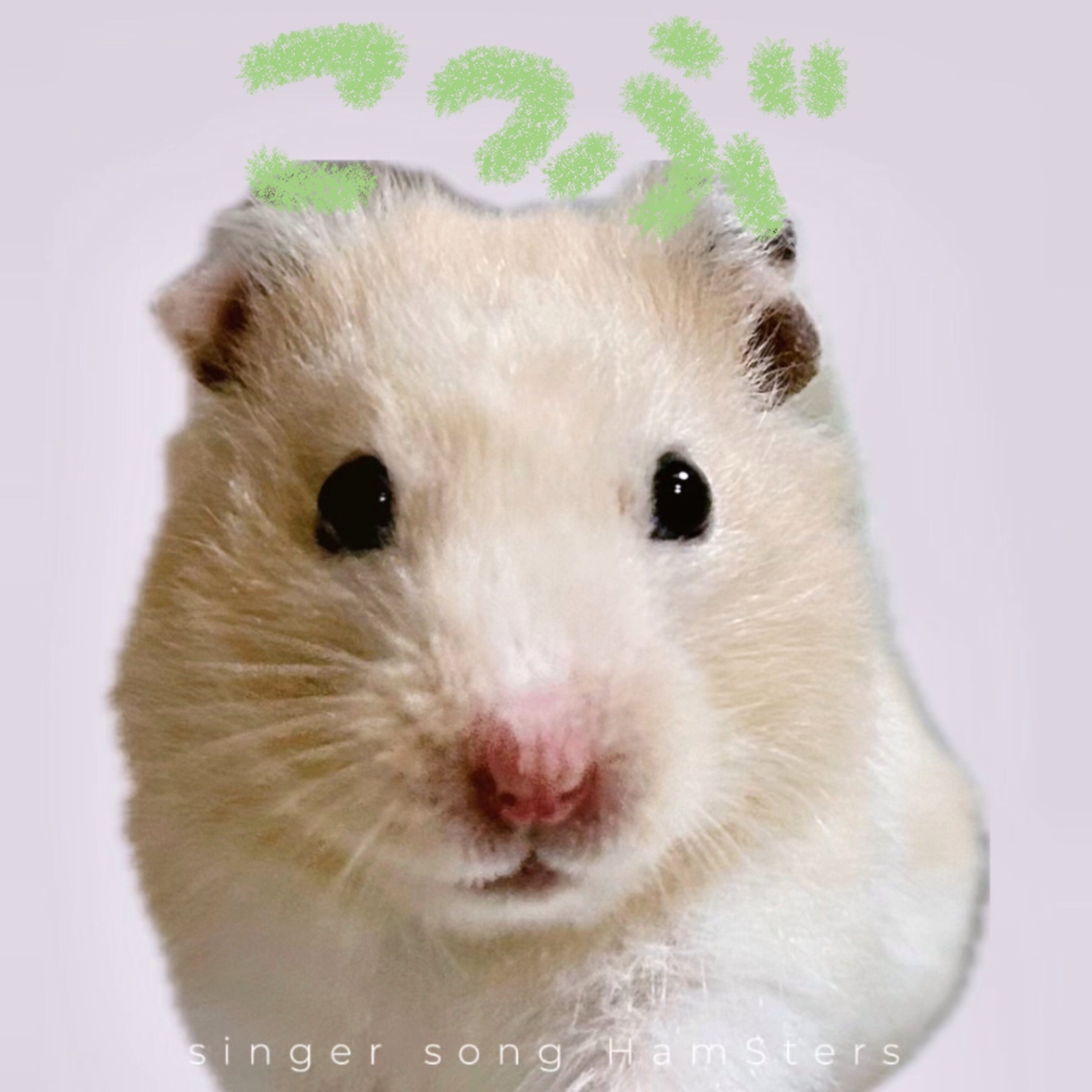 ジャケット写真