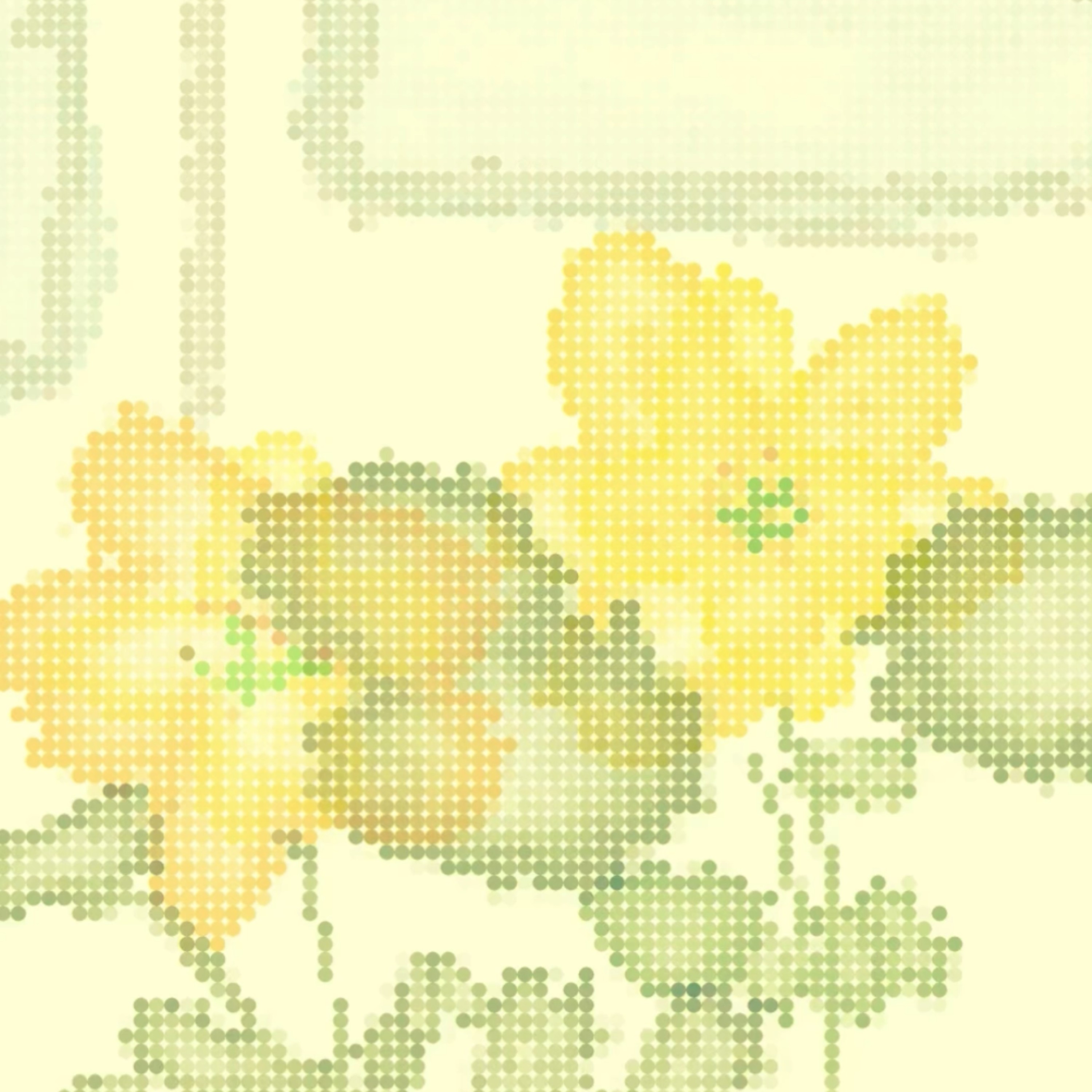 ジャケット写真