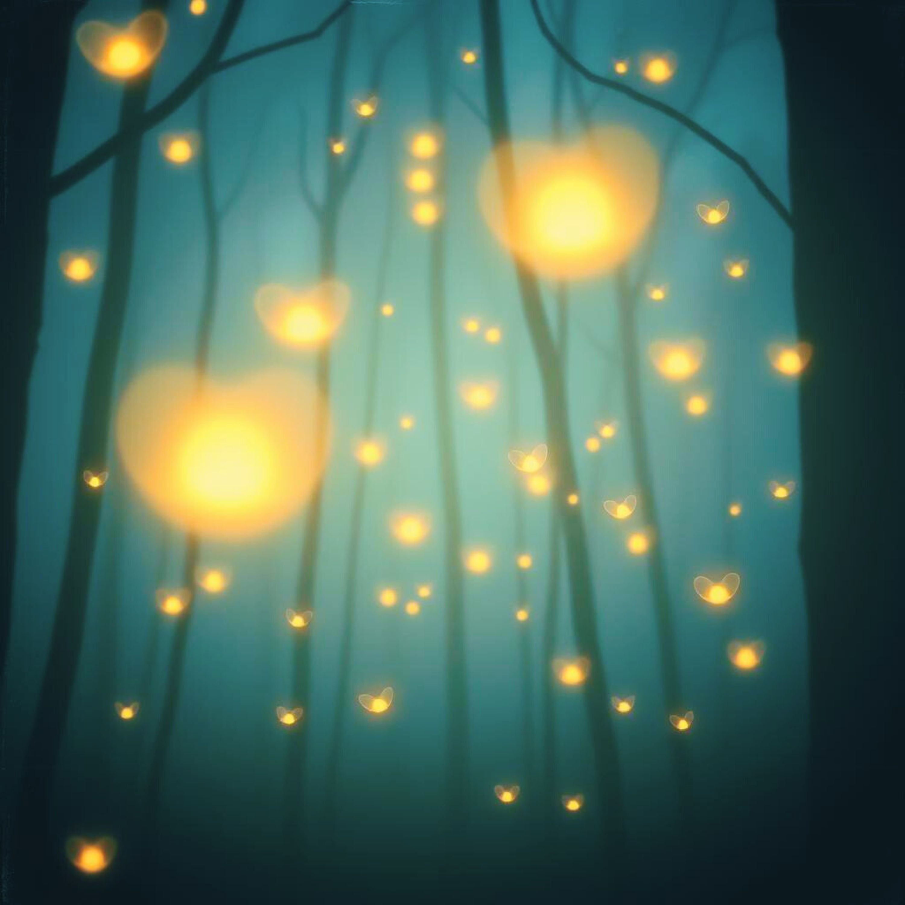 ジャケット写真