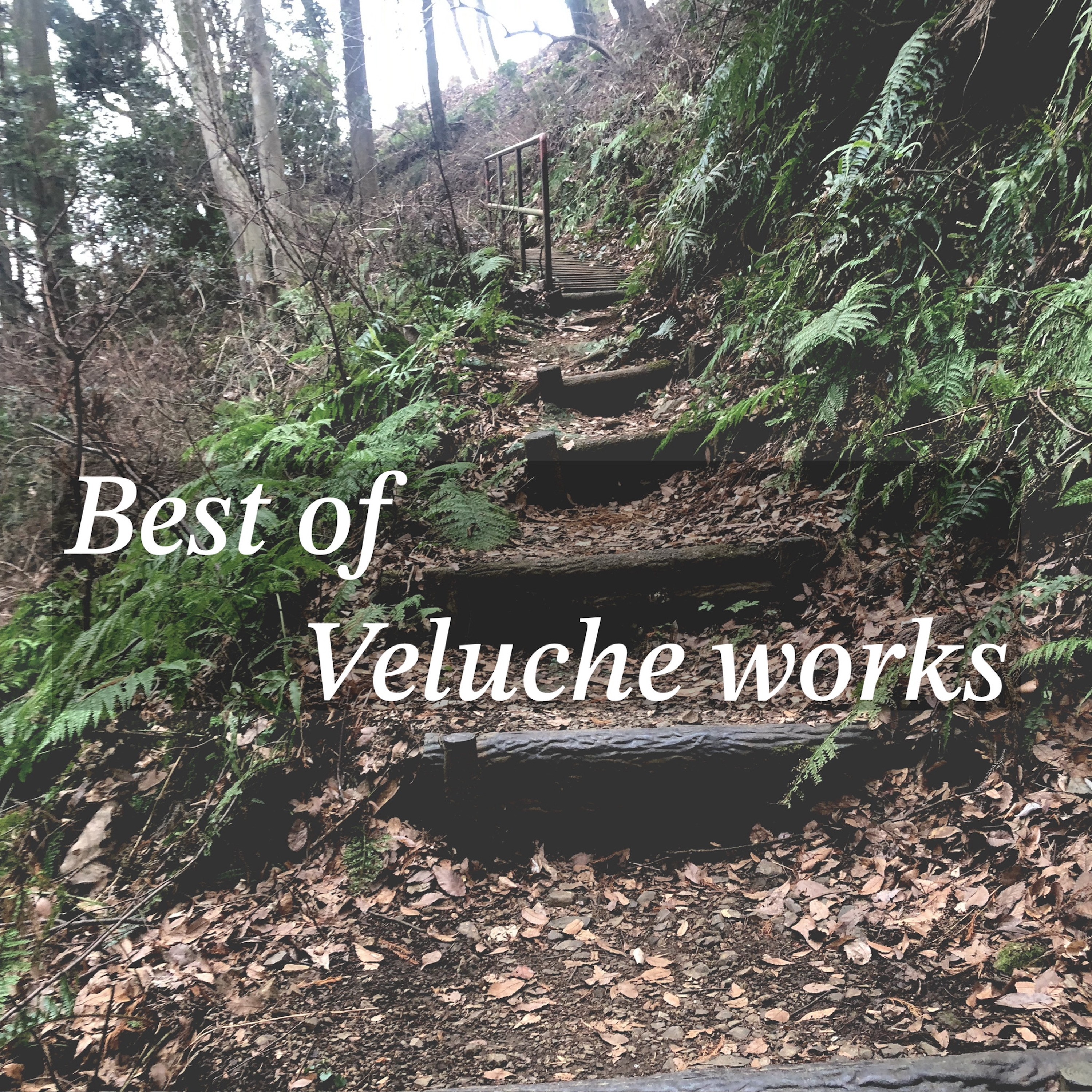 ジャケット写真