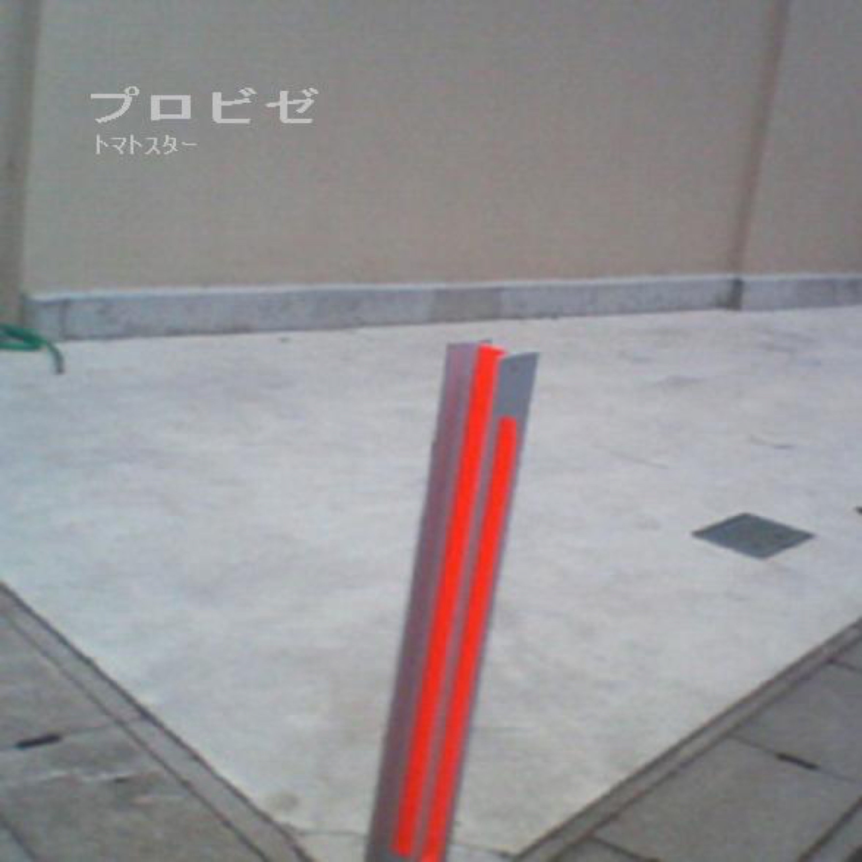 ジャケット写真