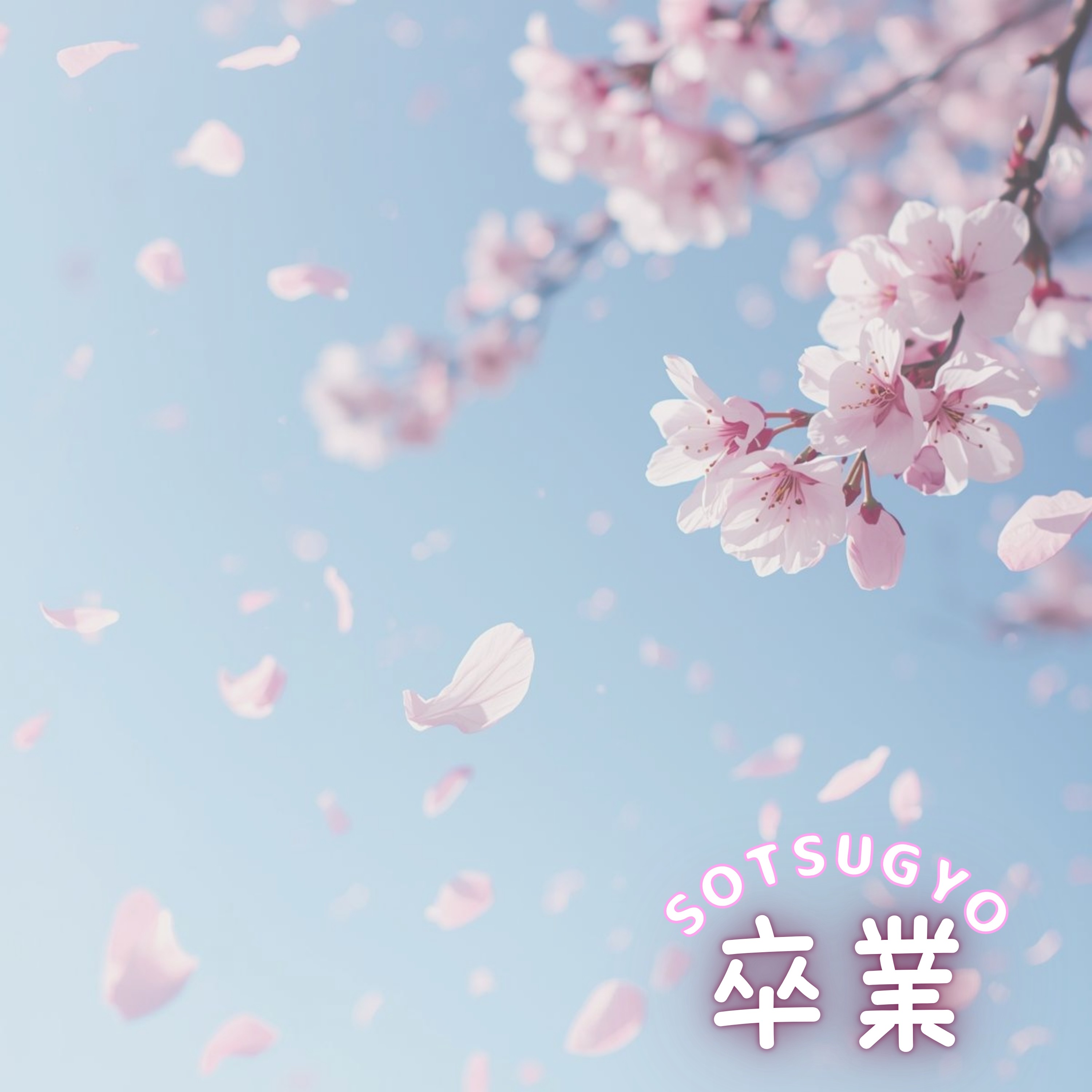 ジャケット写真