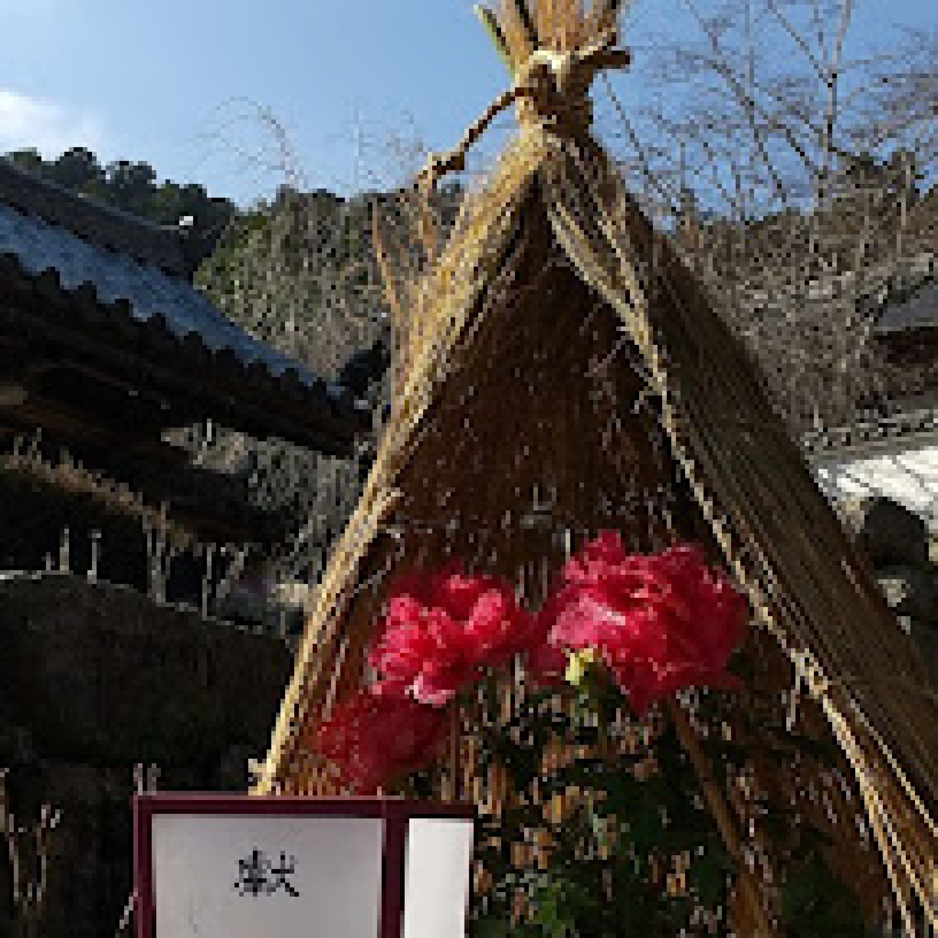 ジャケット写真