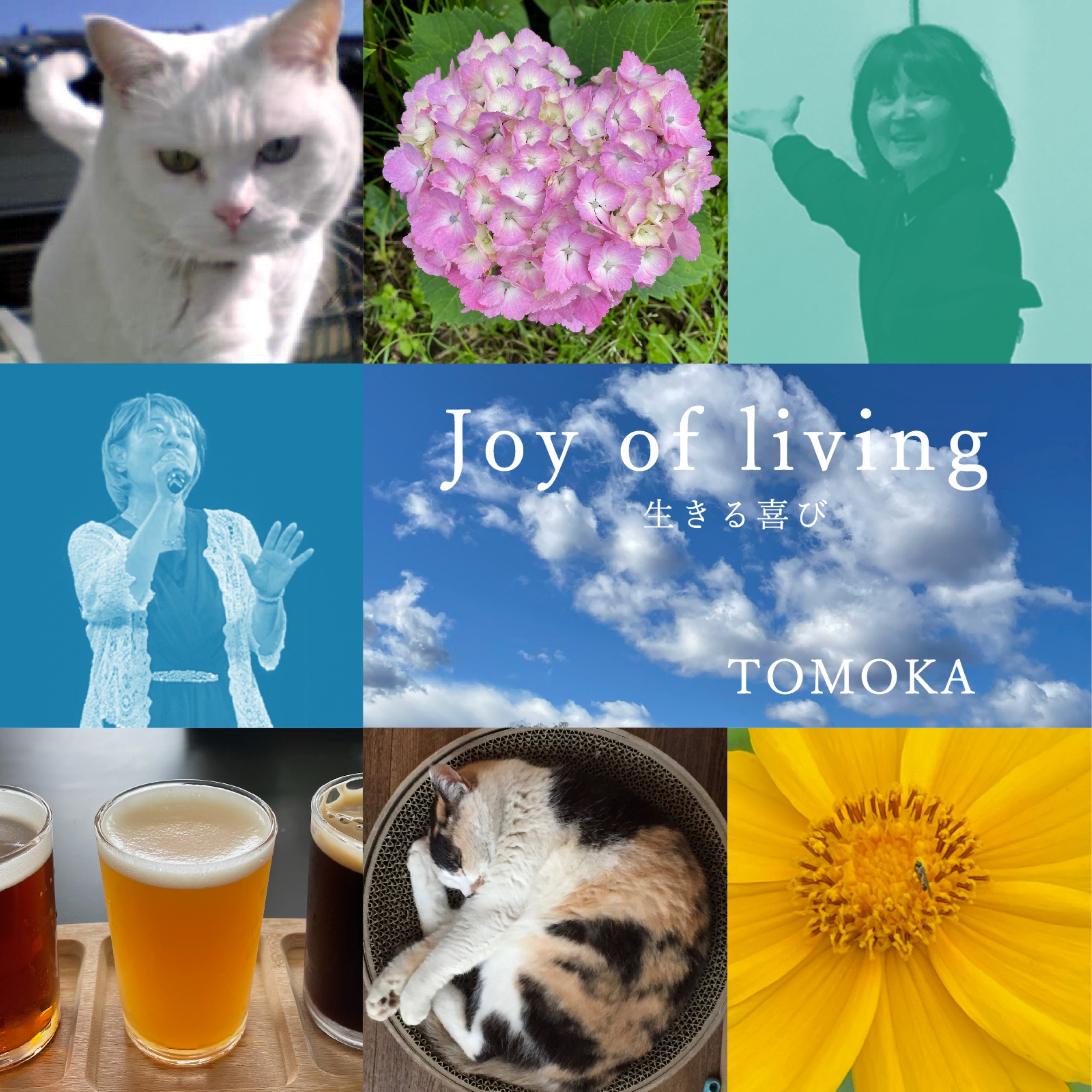 ジャケット写真