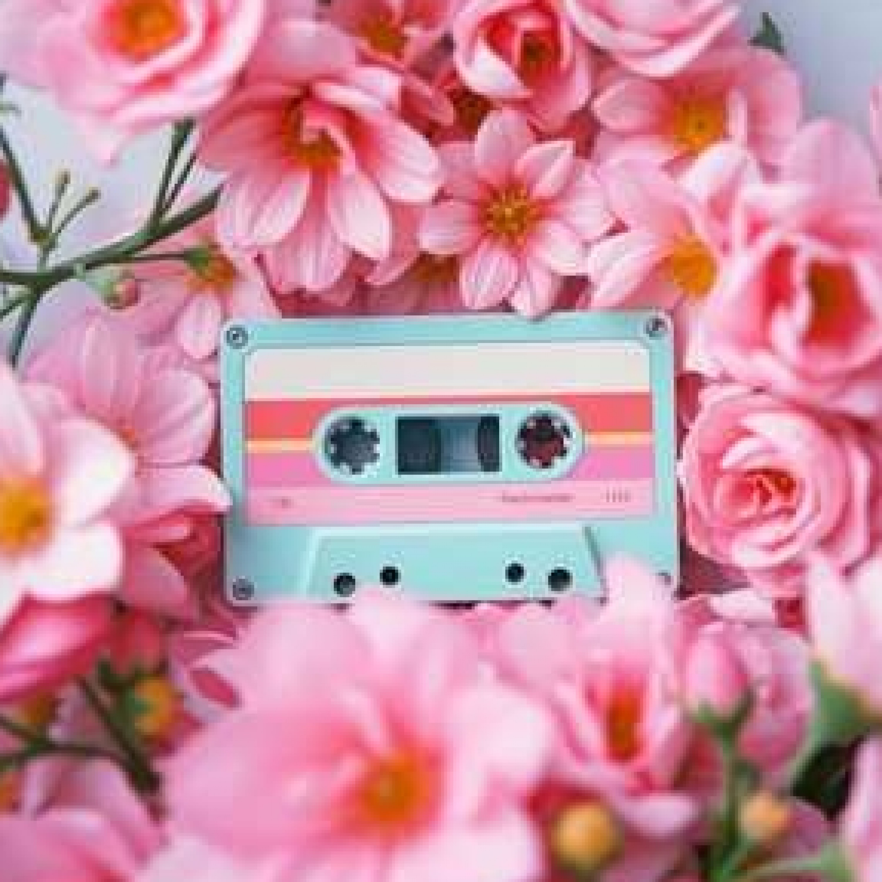 ジャケット写真