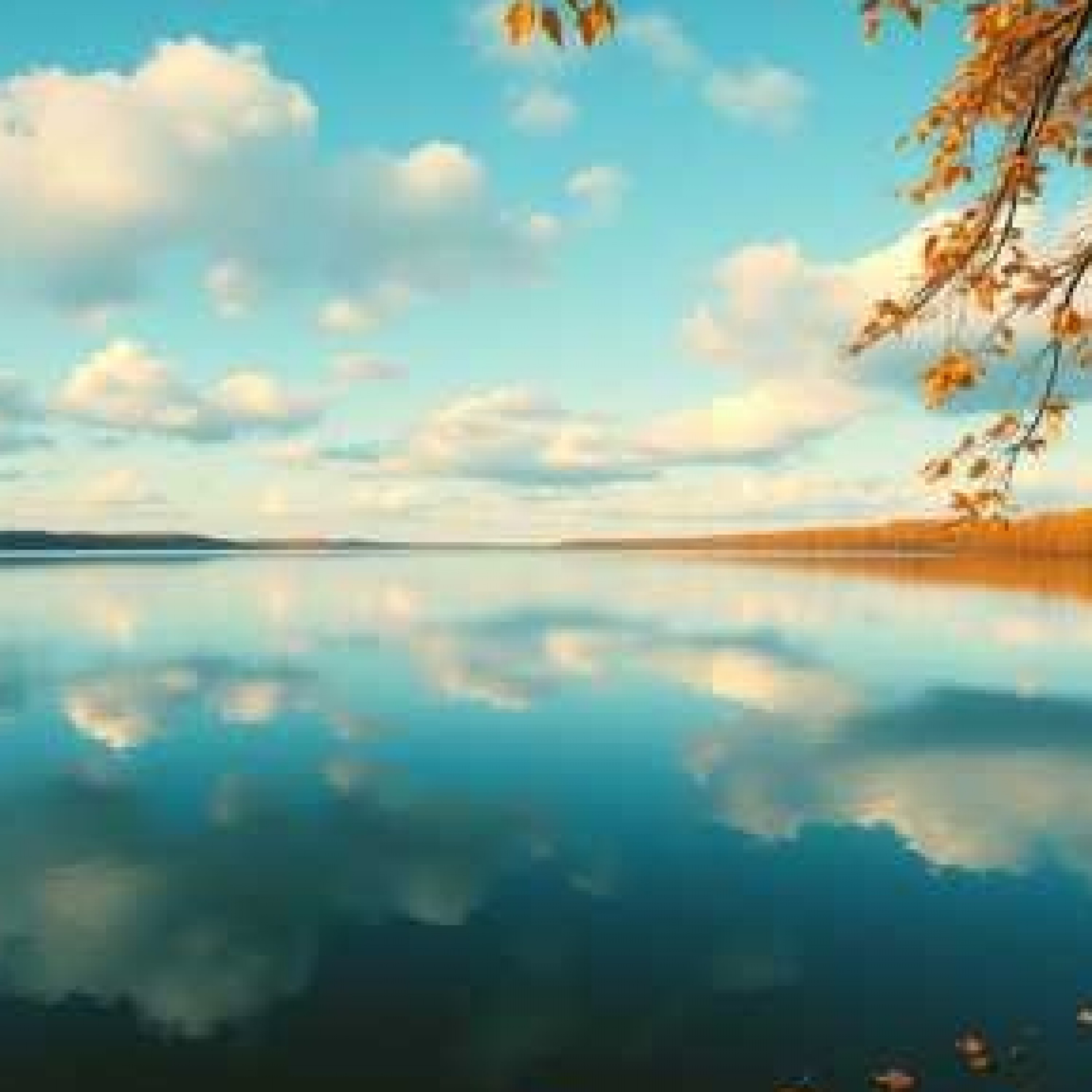 ジャケット写真