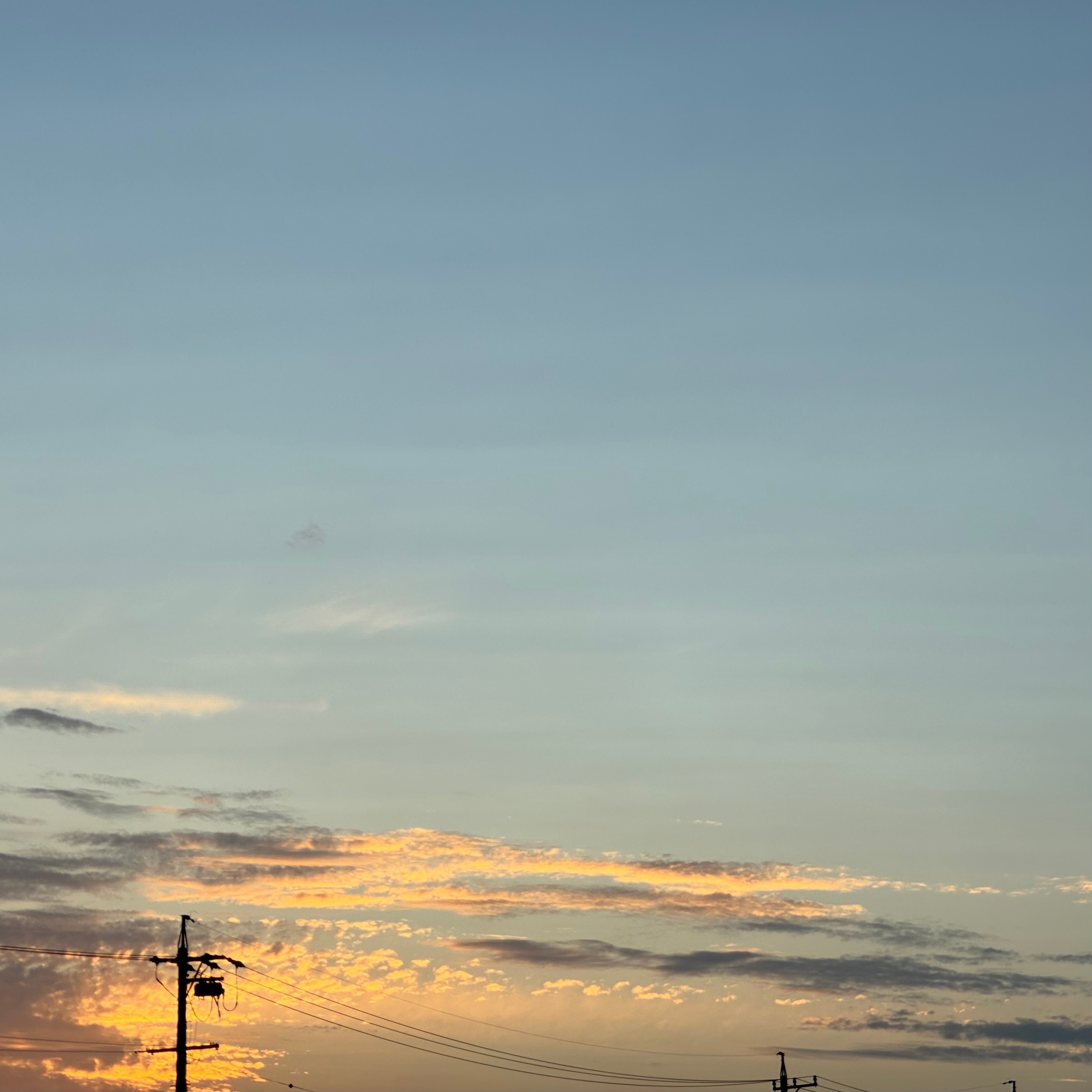 ジャケット写真