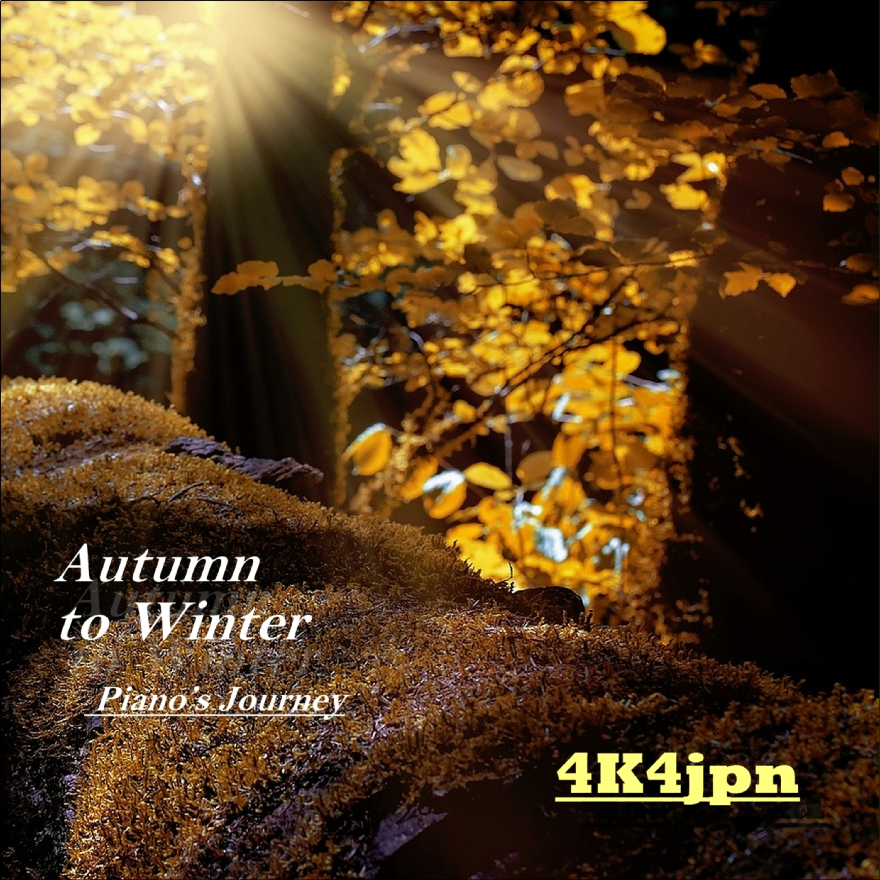 ジャケット写真