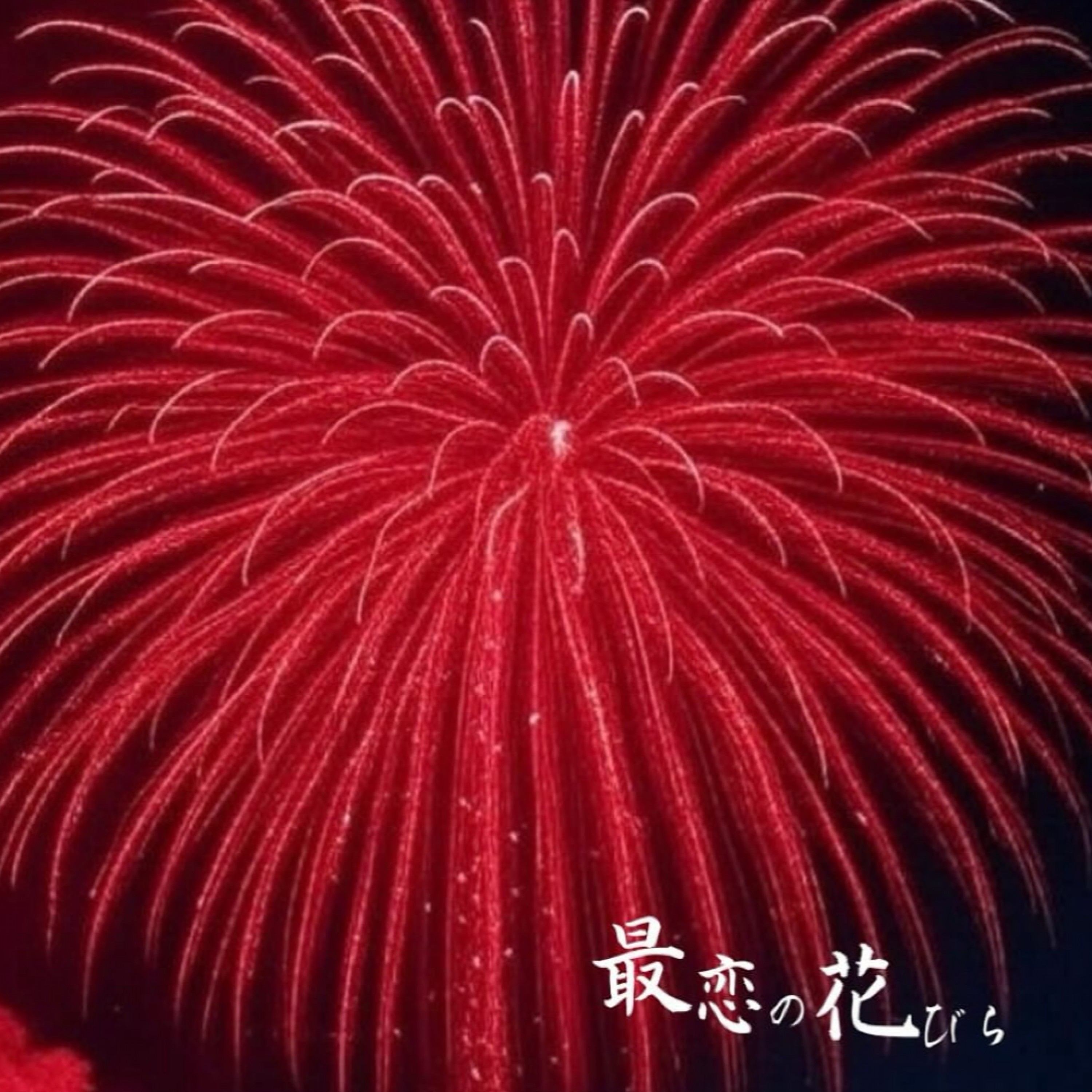 ジャケット写真