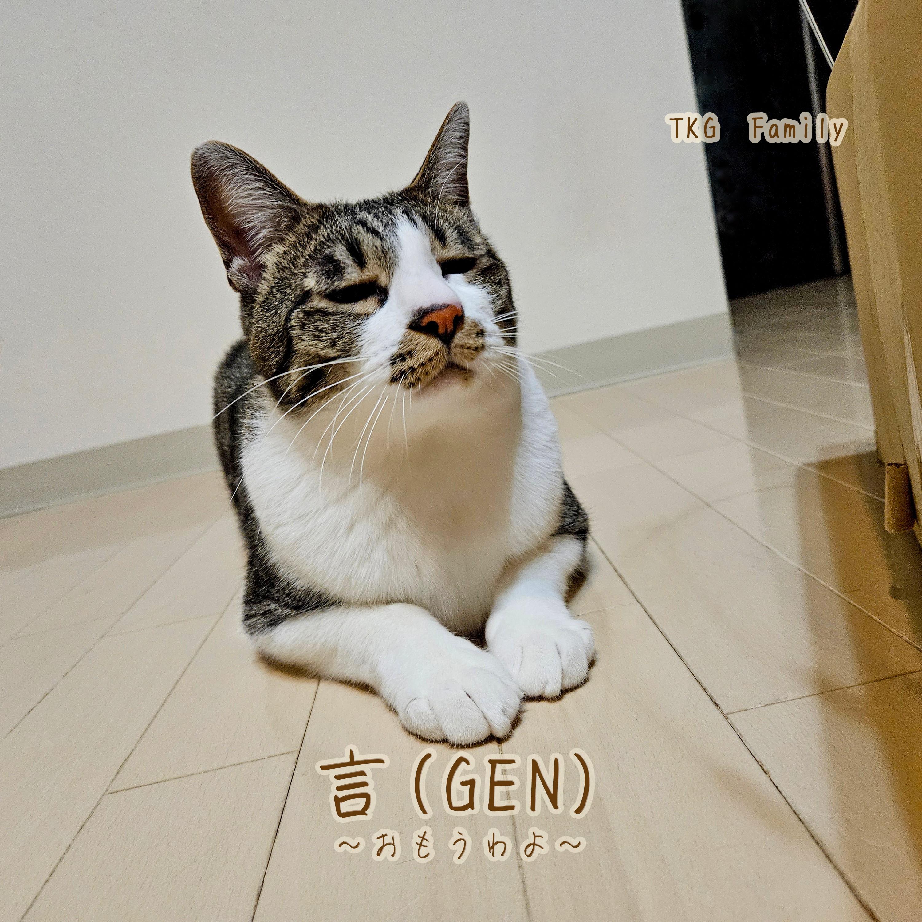 ジャケット写真