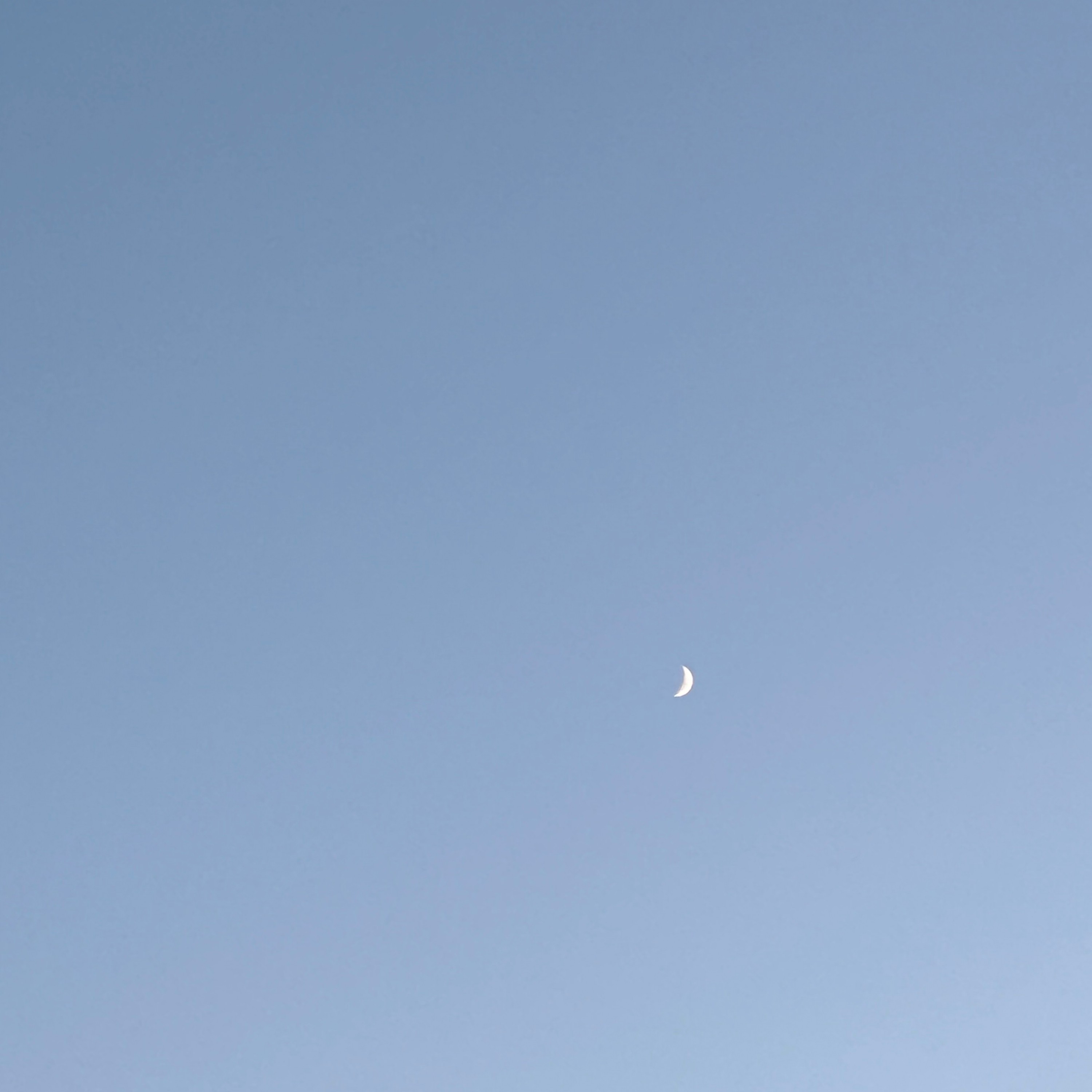 ジャケット写真