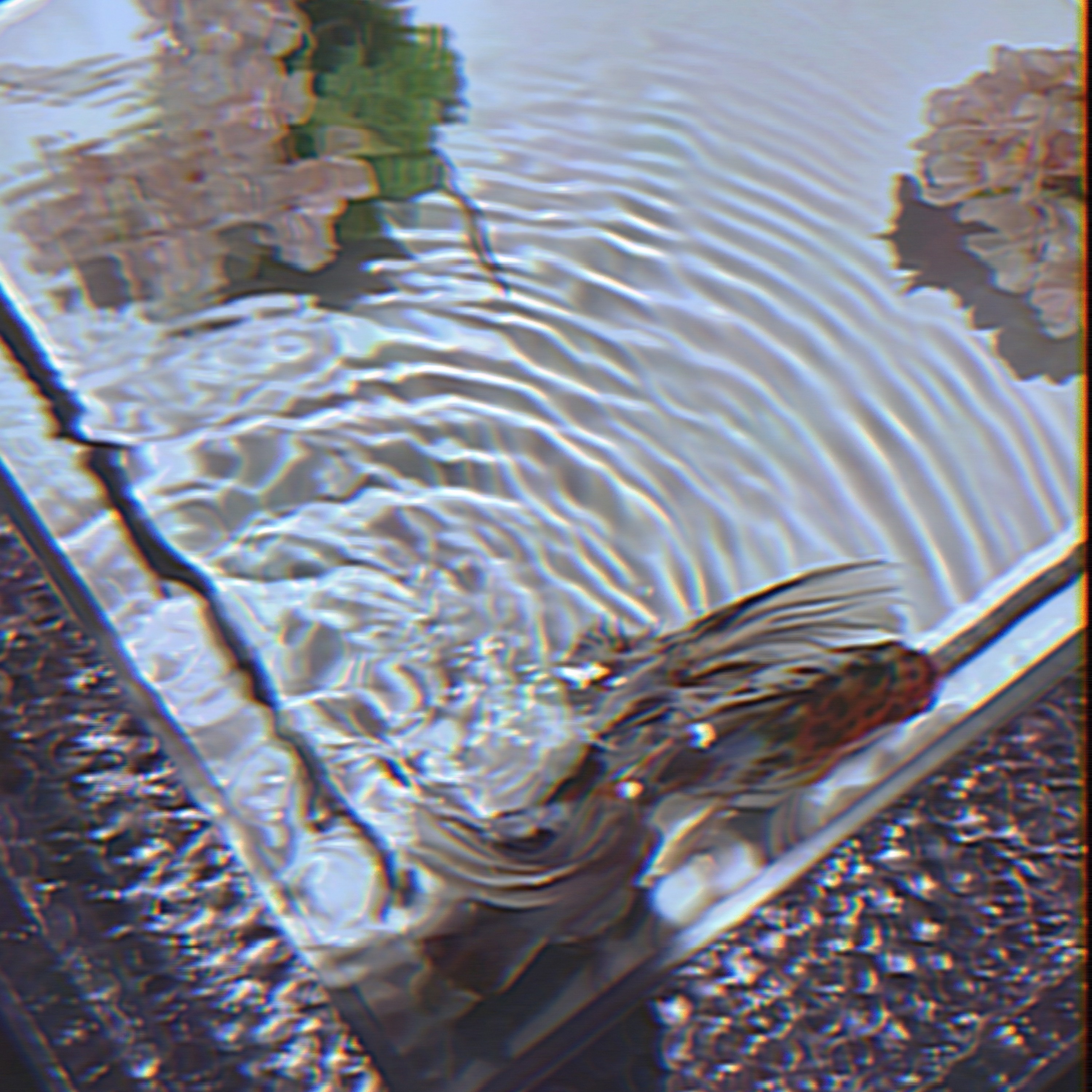 ジャケット写真