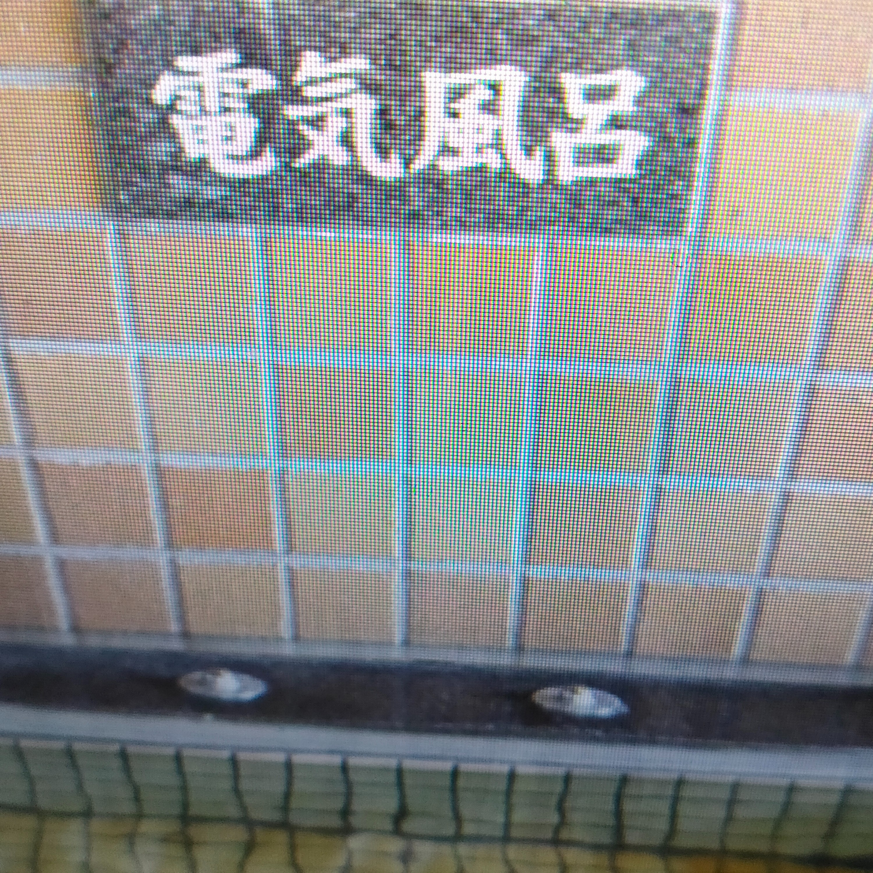 ジャケット写真