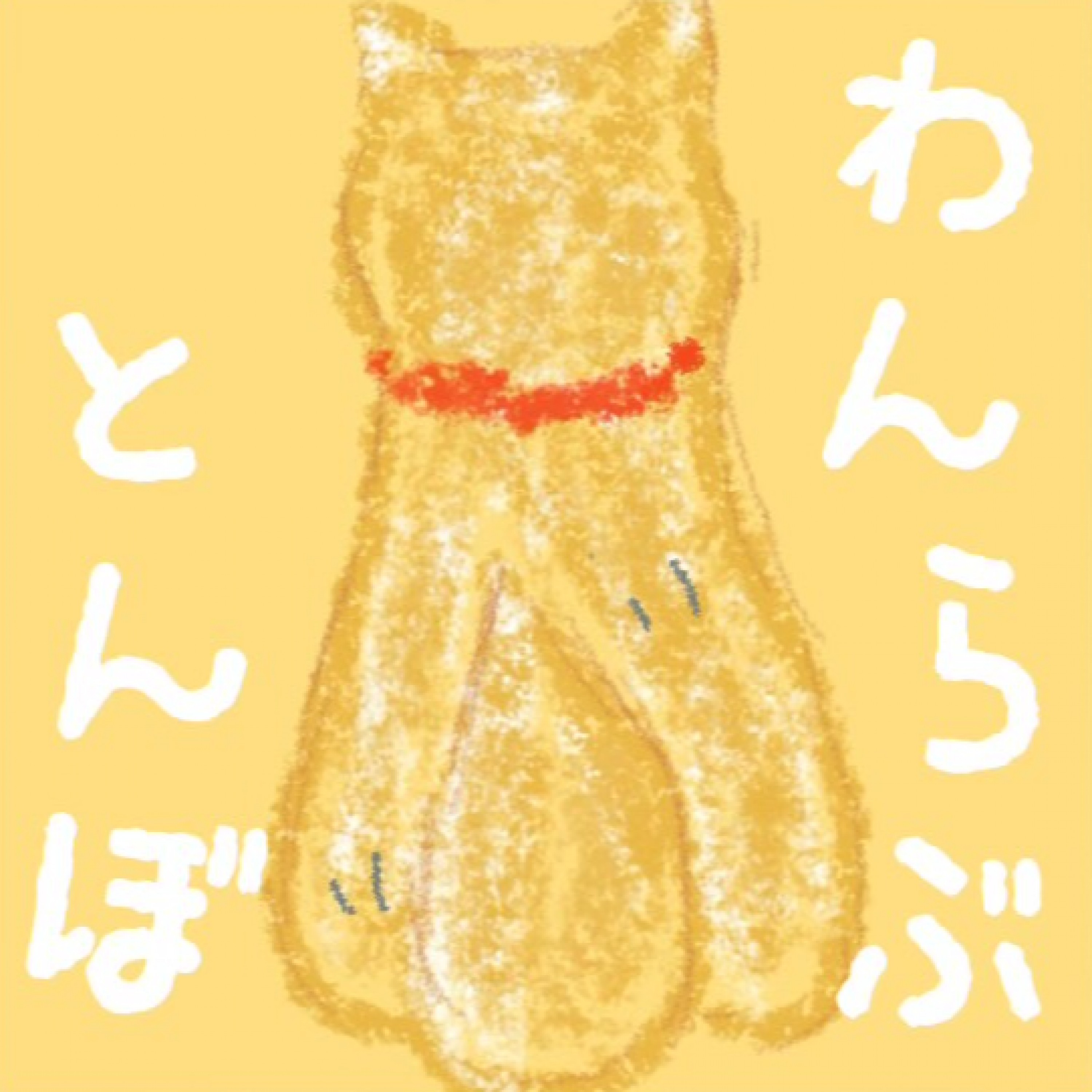ジャケット写真