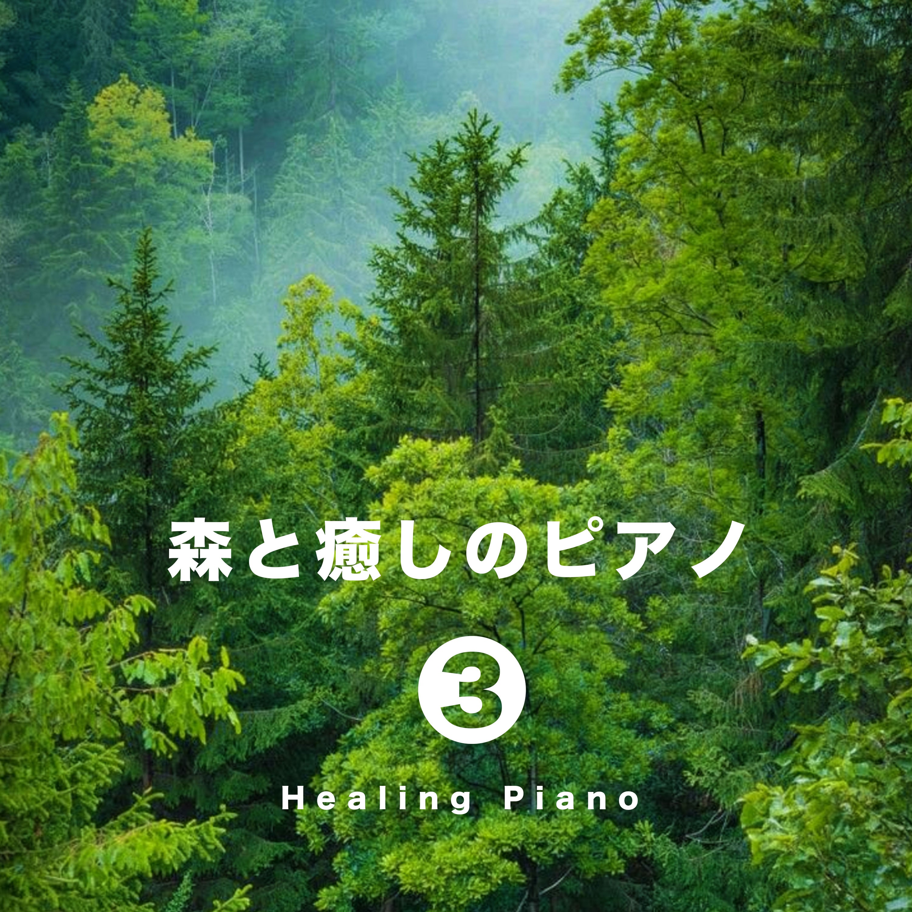 ジャケット写真