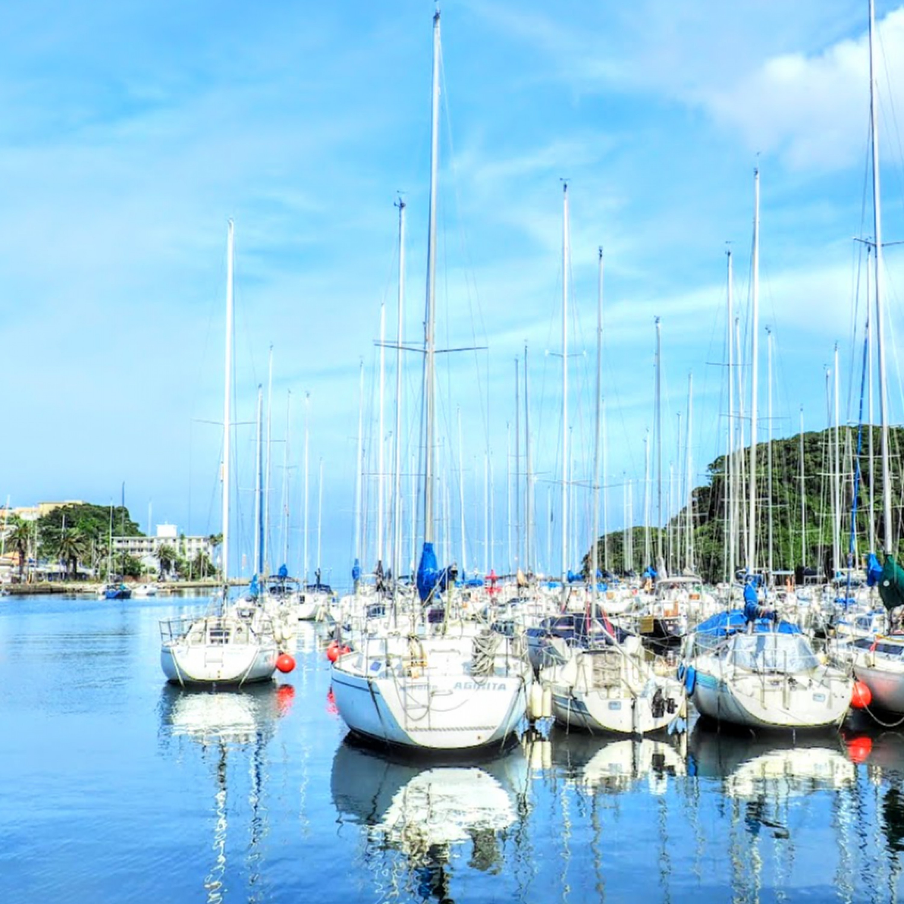 ジャケット写真