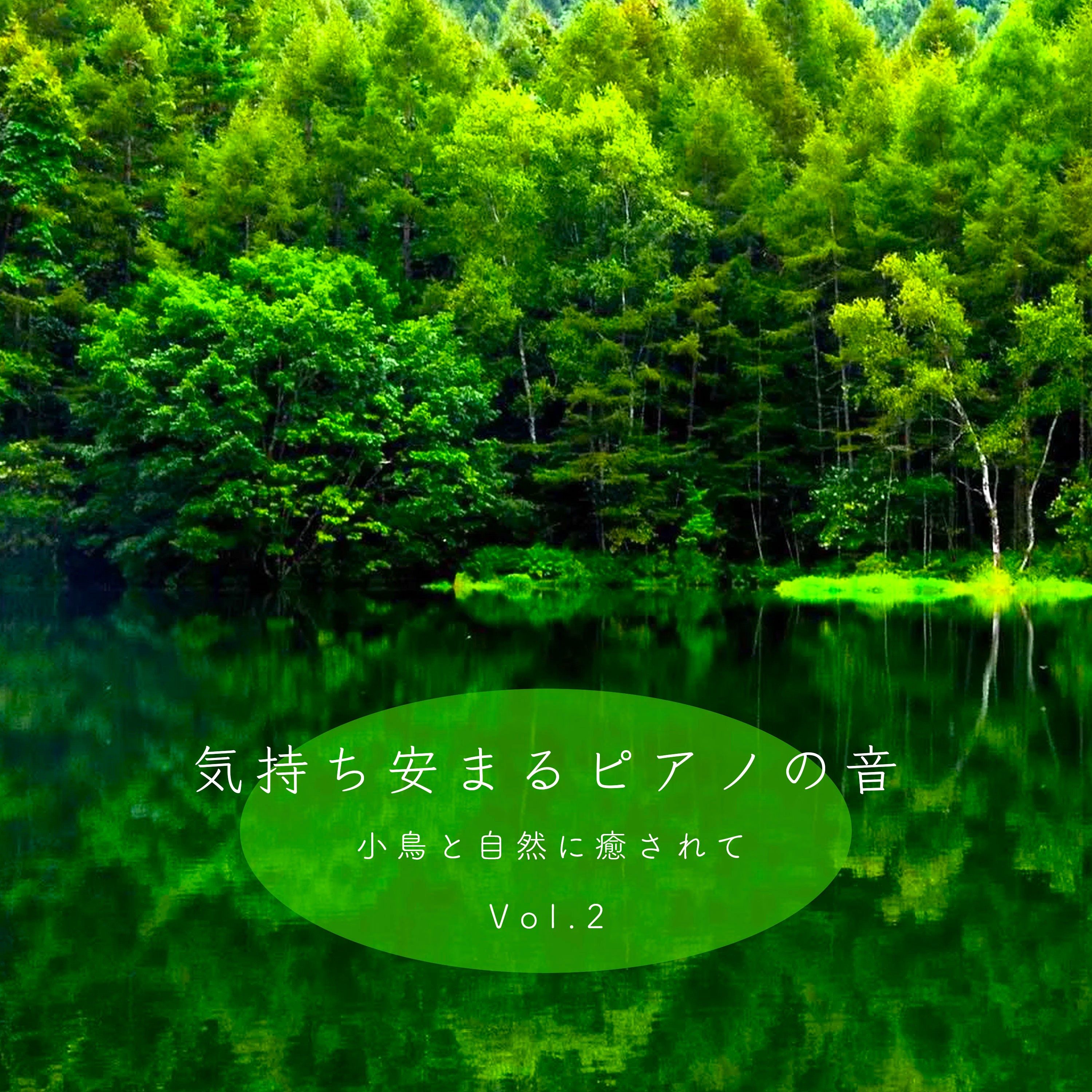 ジャケット写真