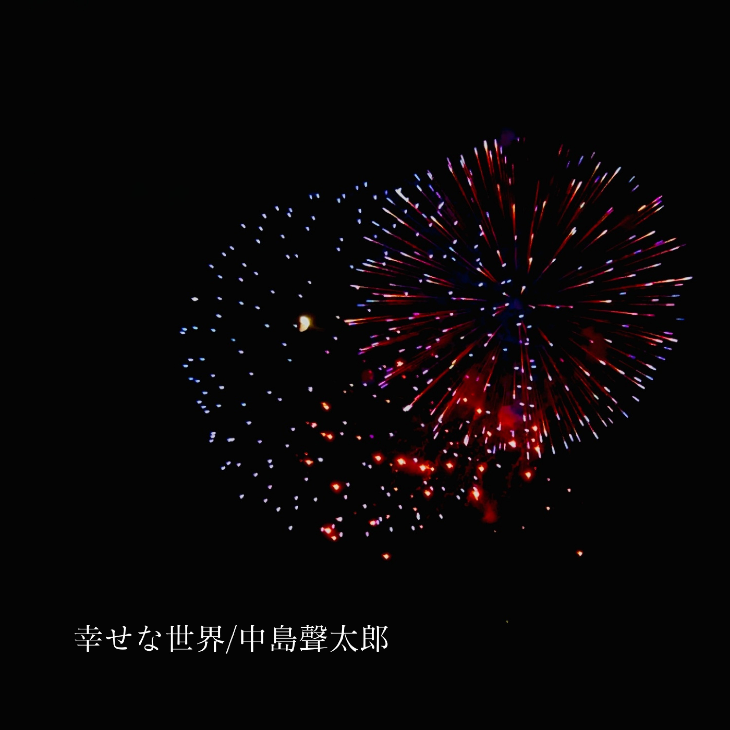 ジャケット写真