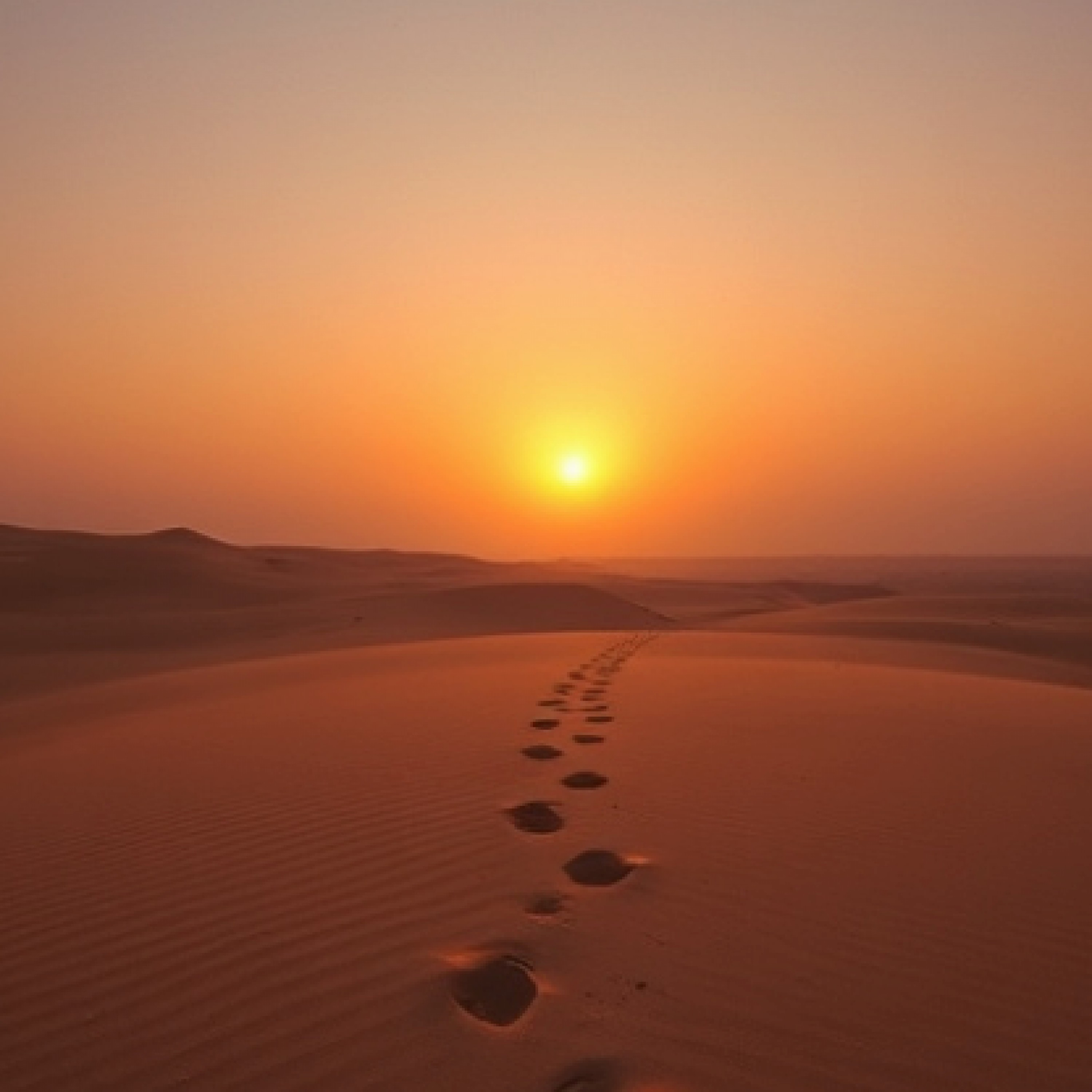 ジャケット写真