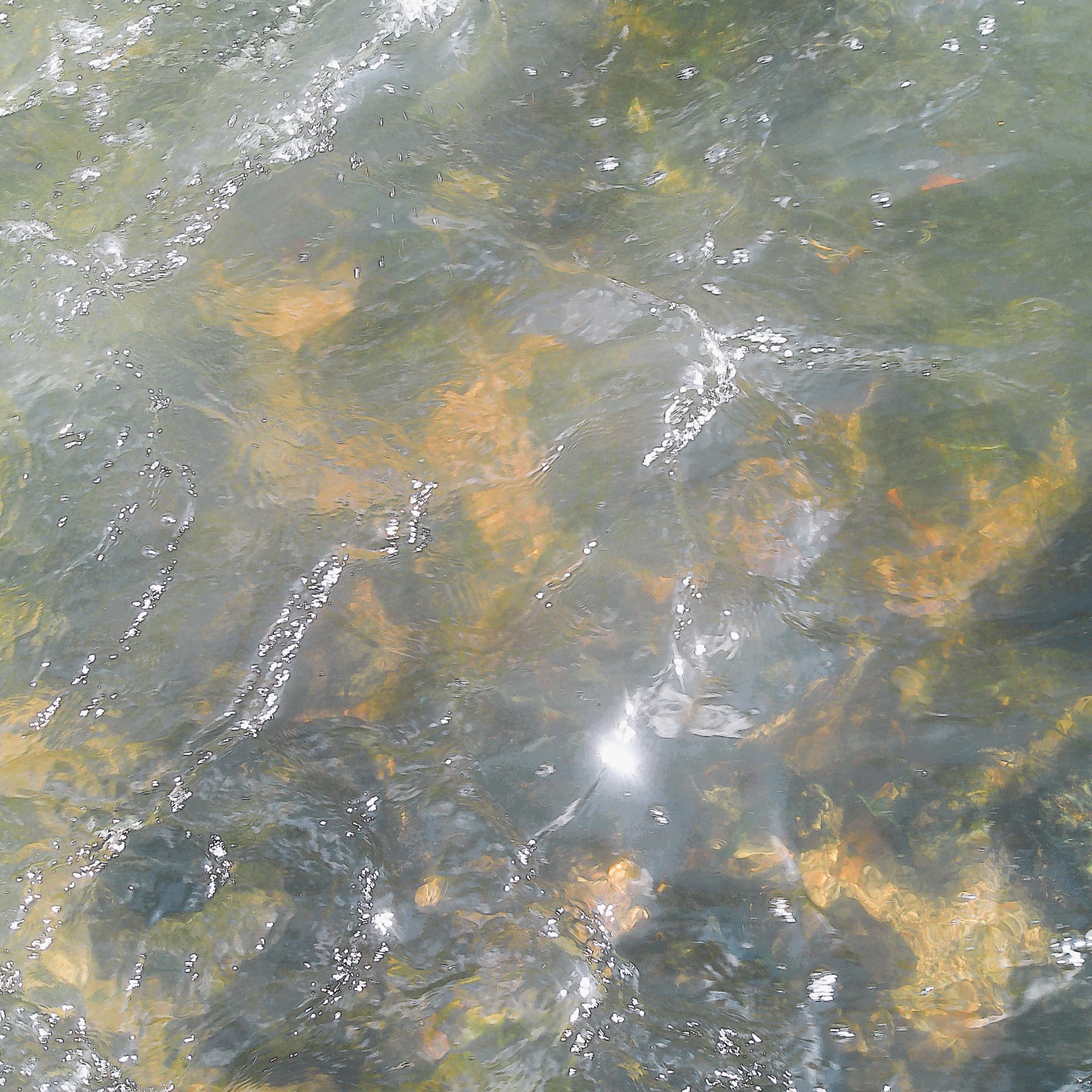 ジャケット写真