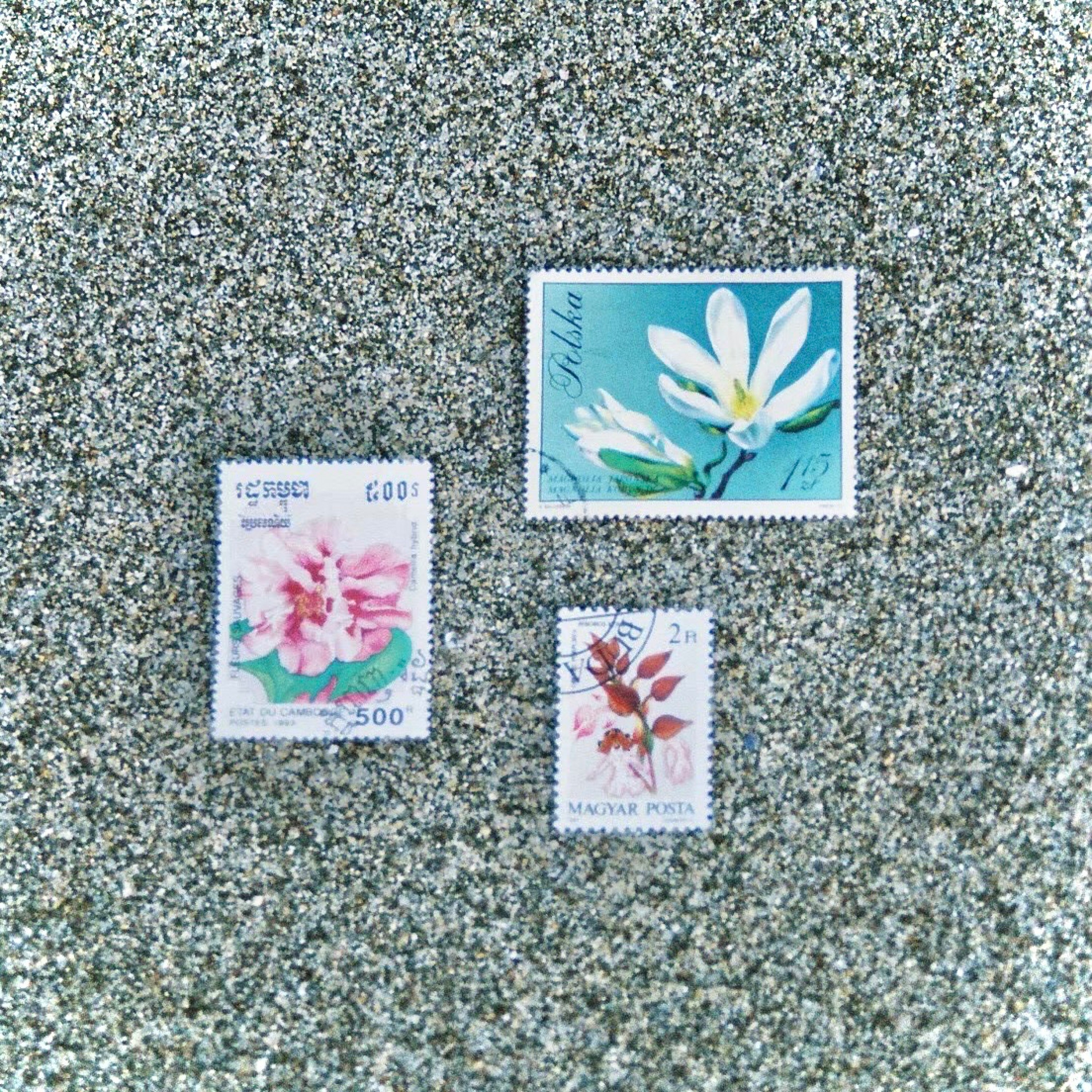 ジャケット写真
