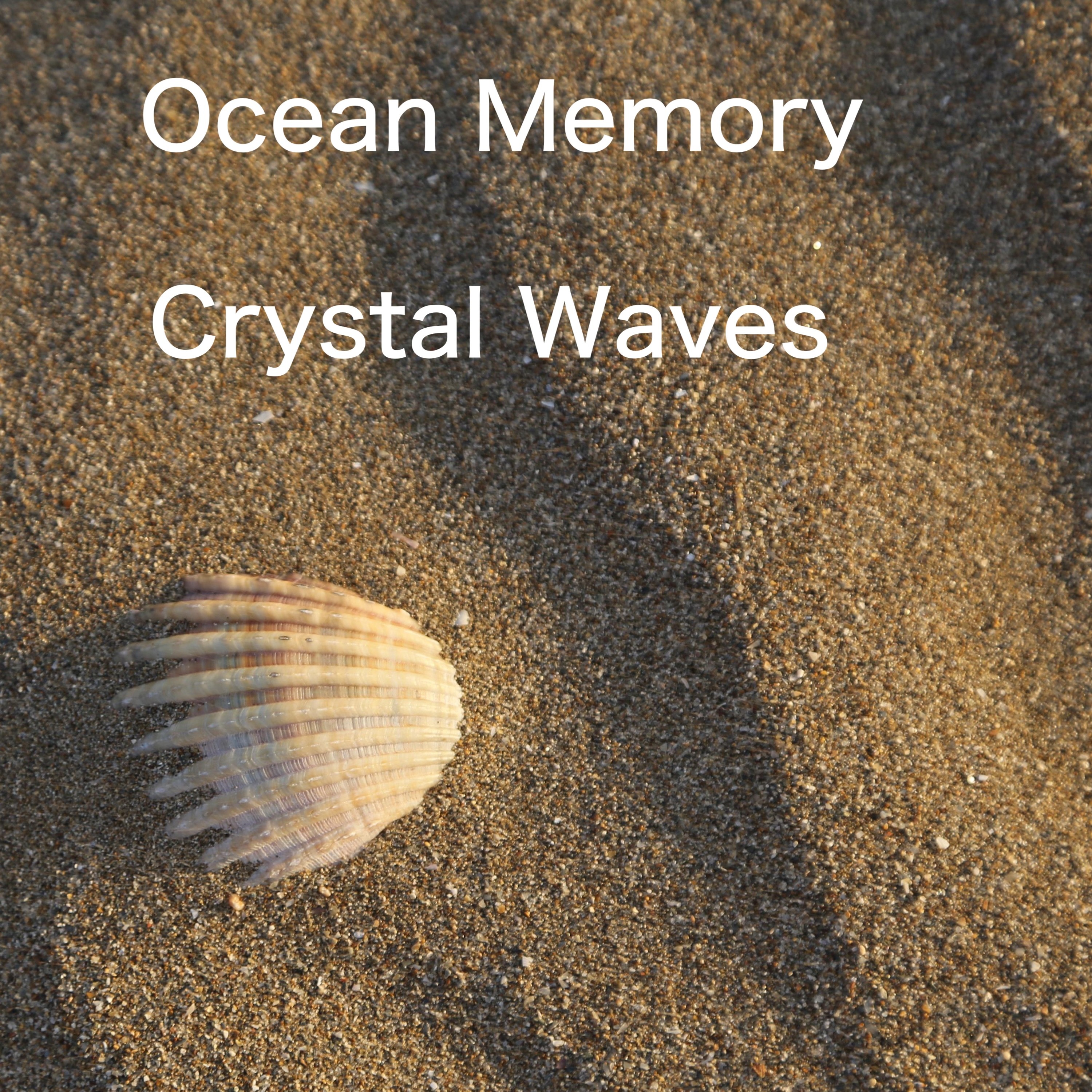 ジャケット写真