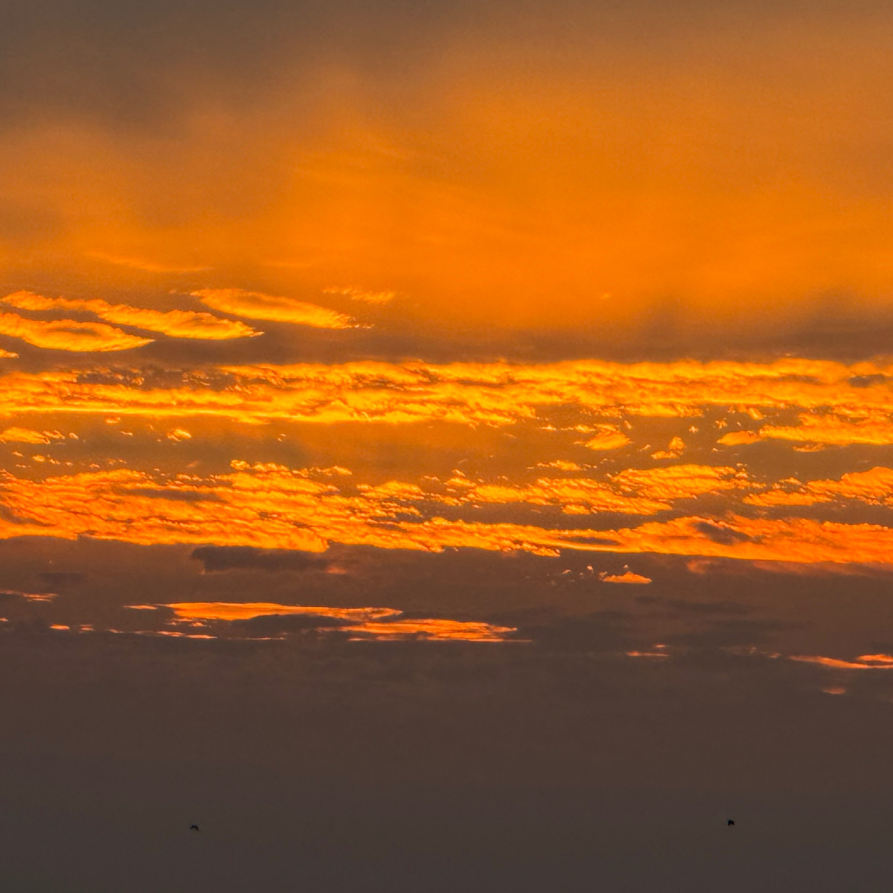 ジャケット写真