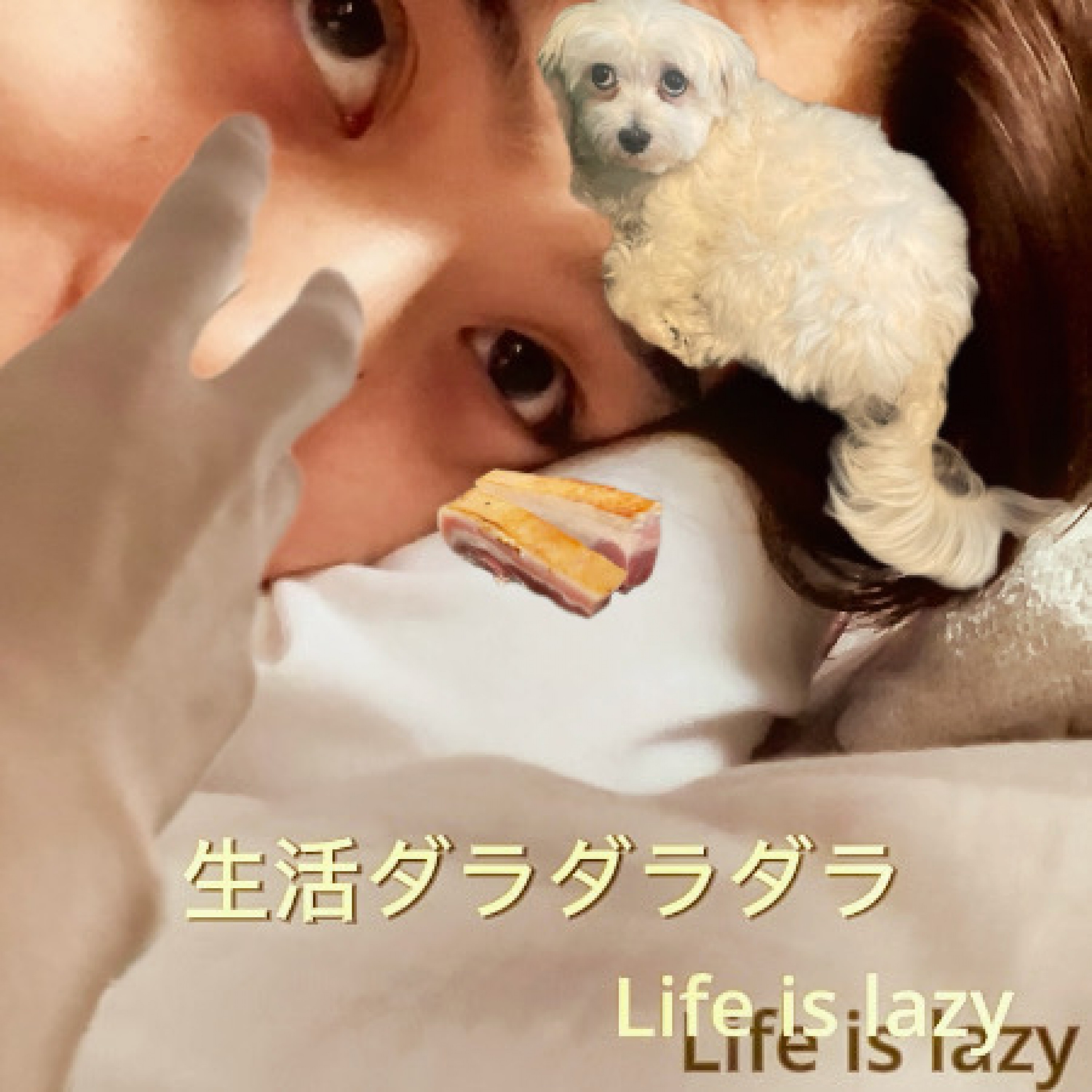 ジャケット写真