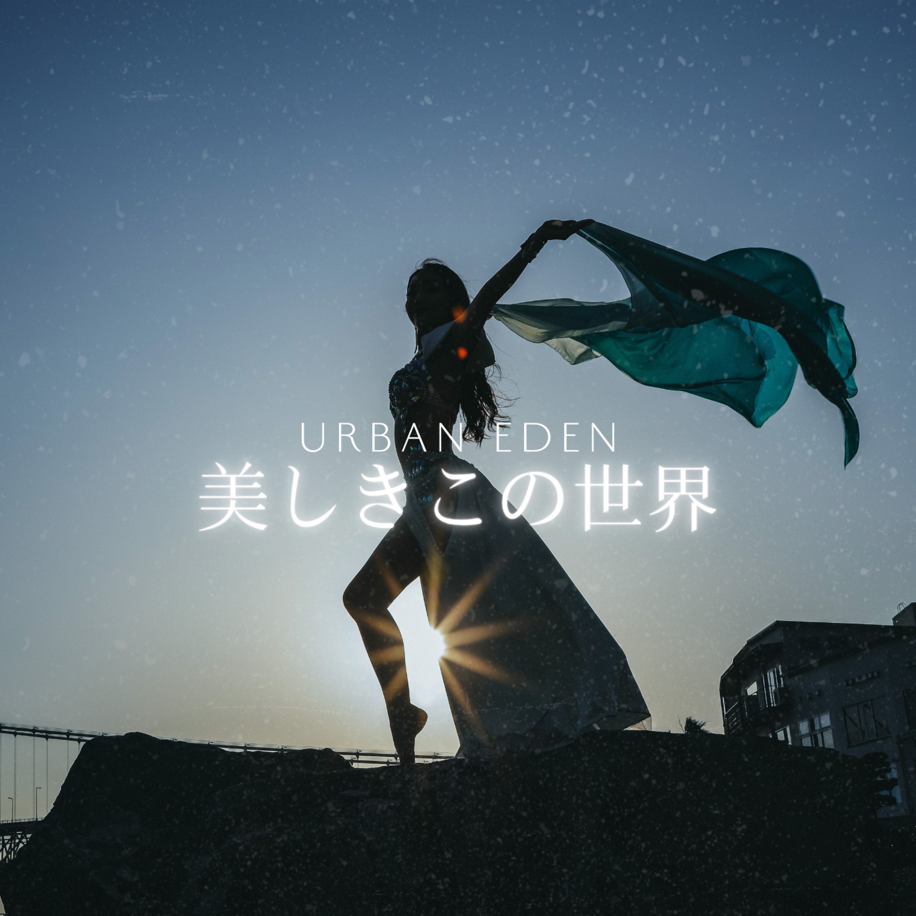 ジャケット写真