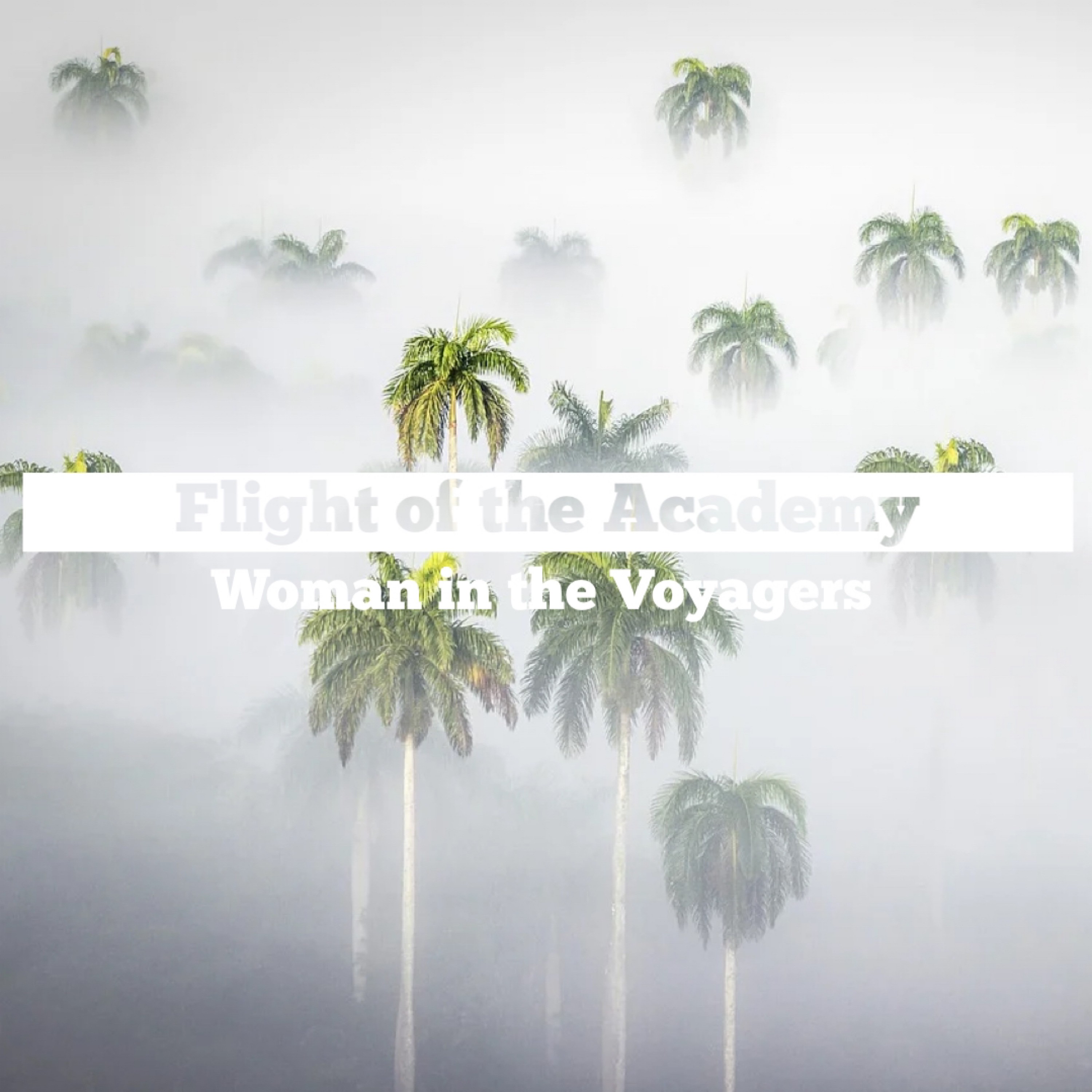 ジャケット写真