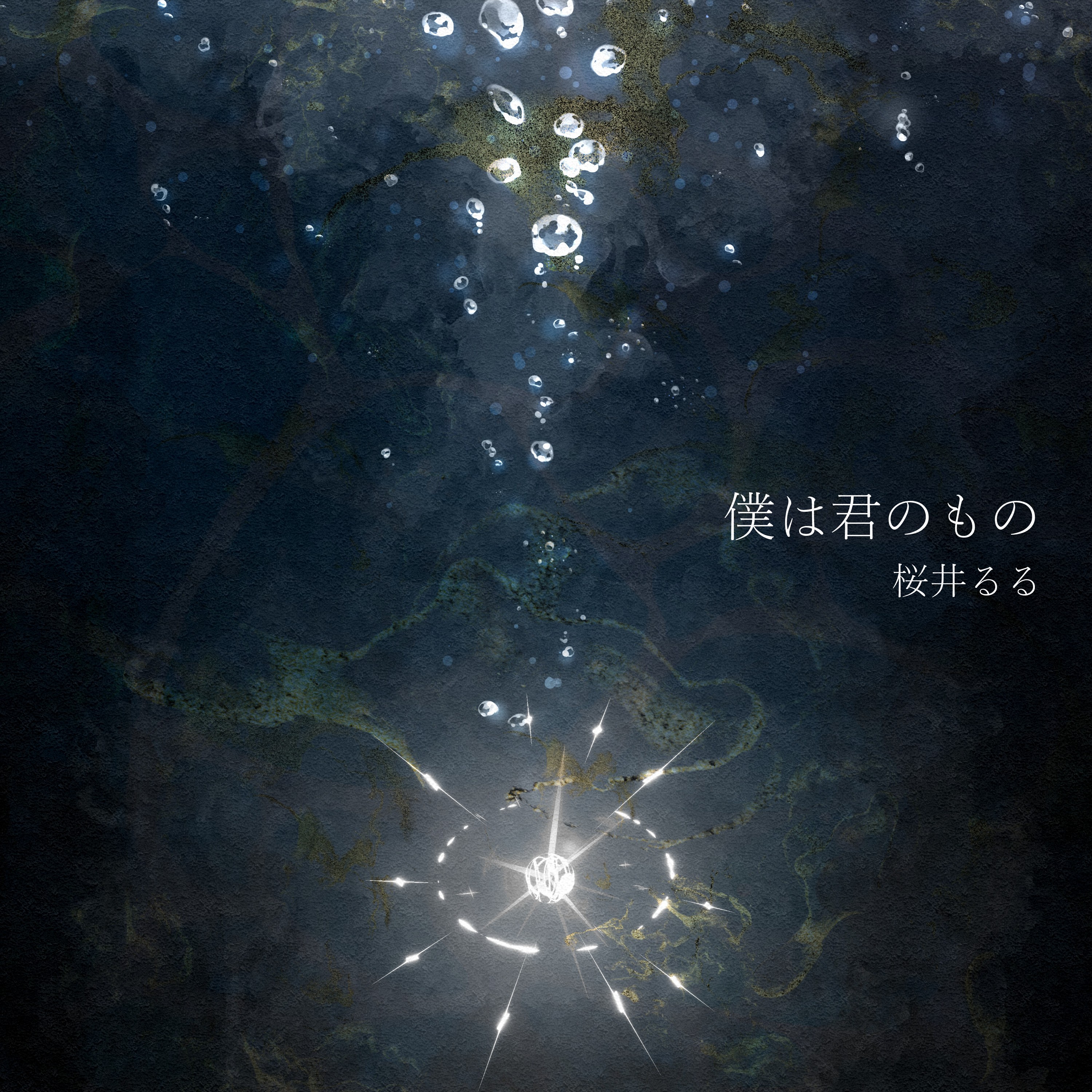 ジャケット写真