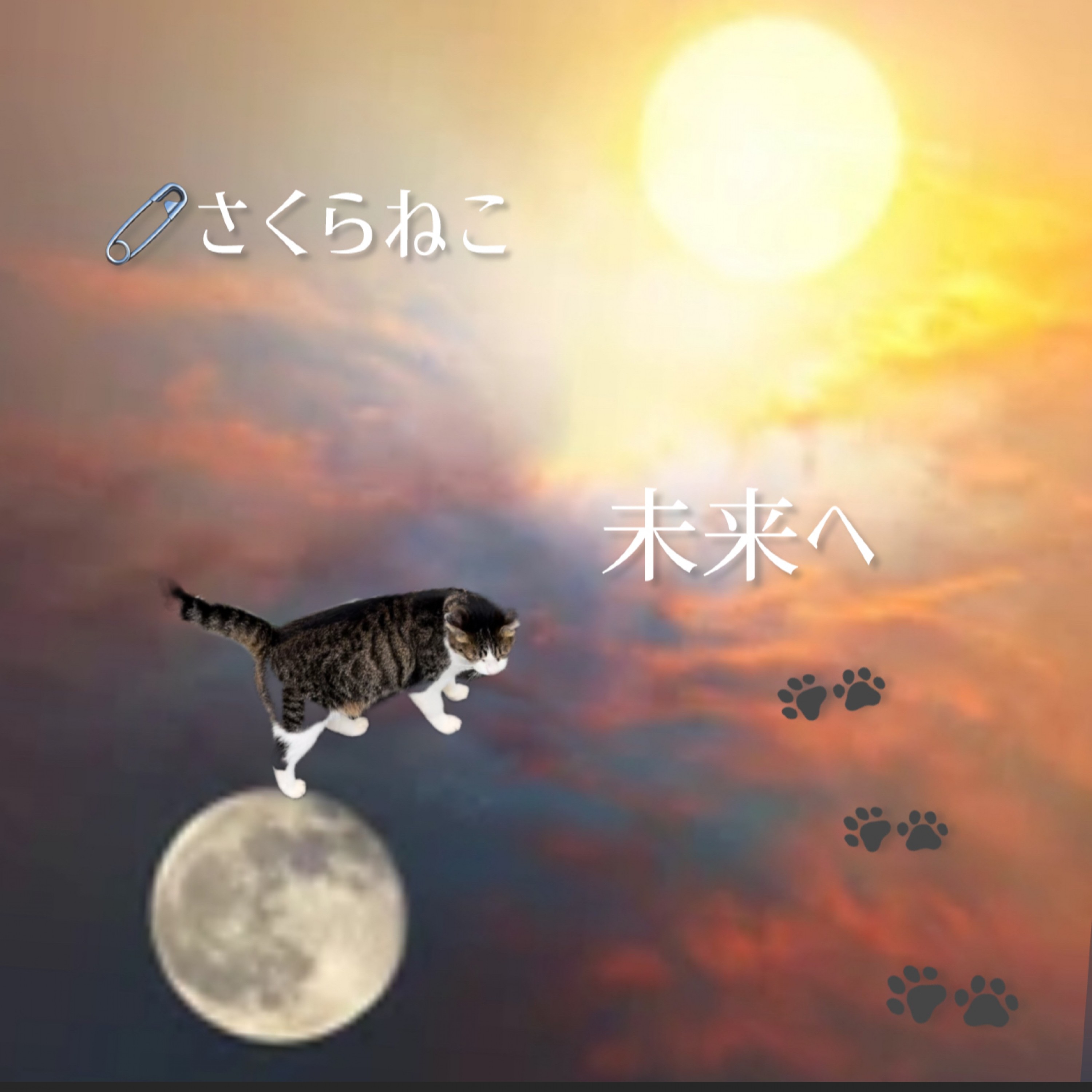 ジャケット写真