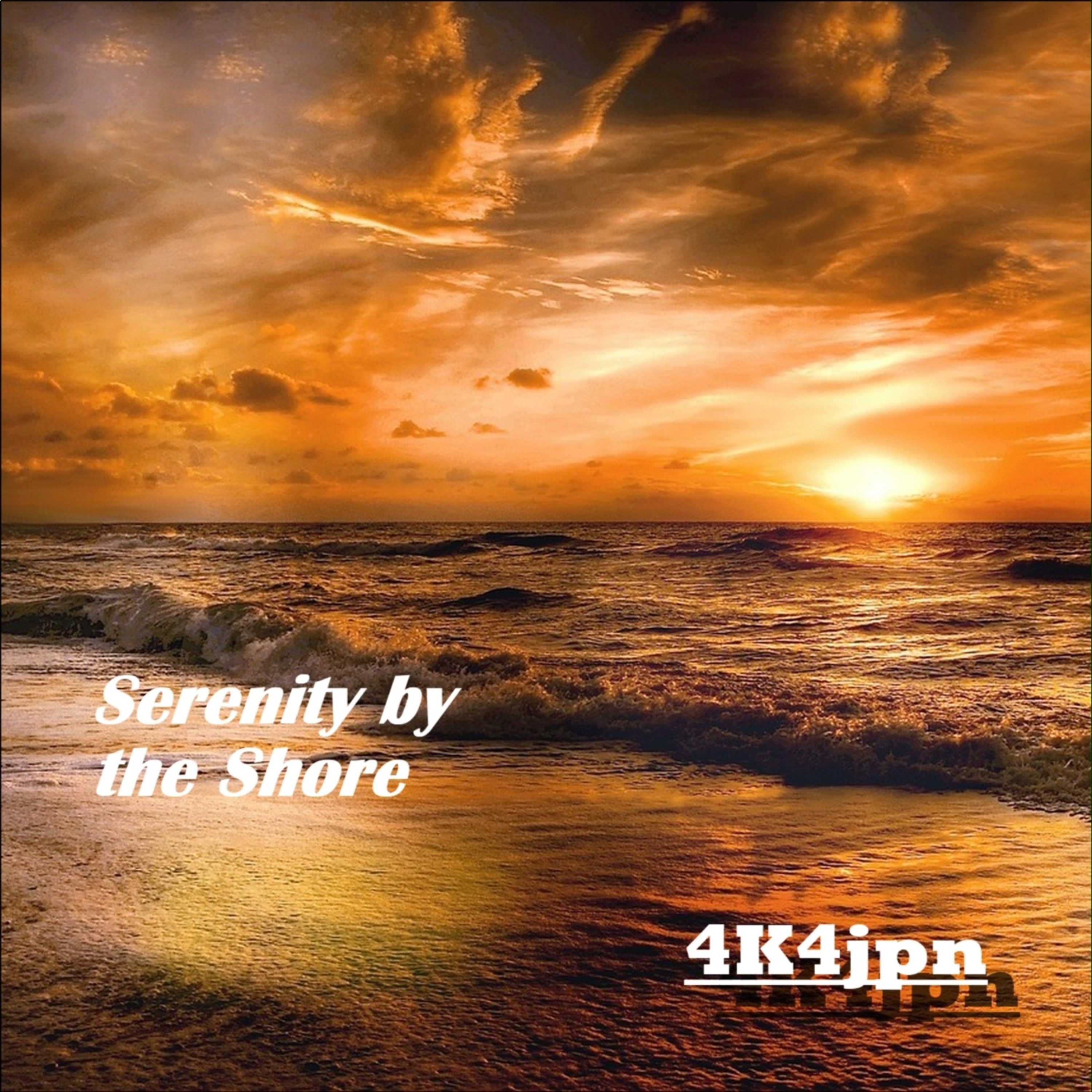 ジャケット写真