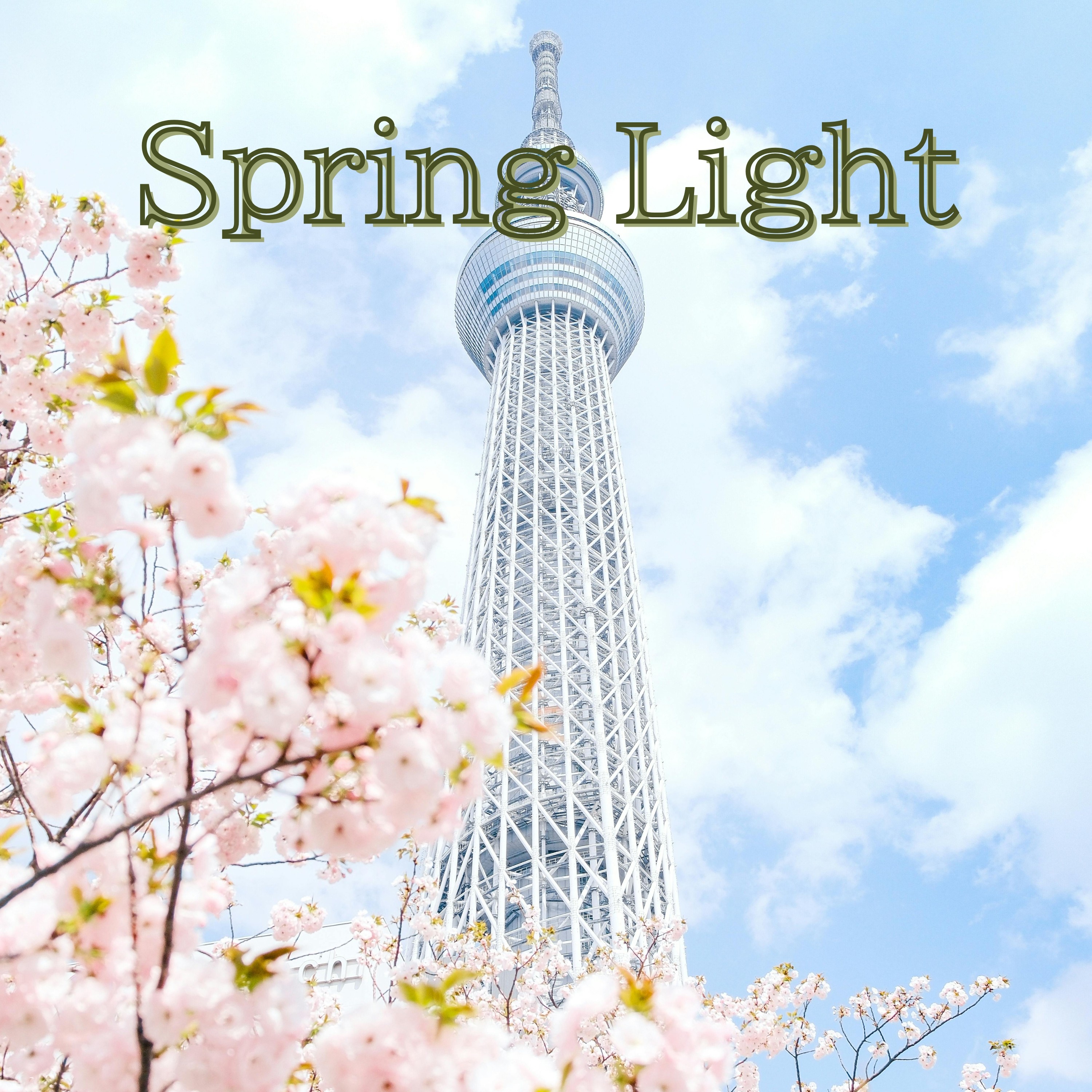 ジャケット写真